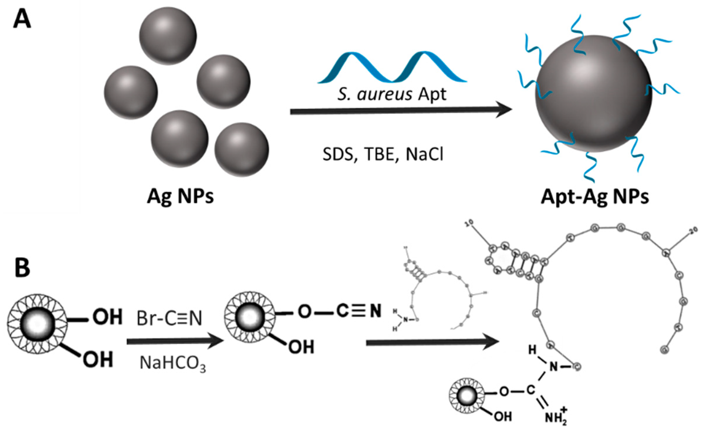 Materials 11 01154 g012 Materials 11 01154 g012