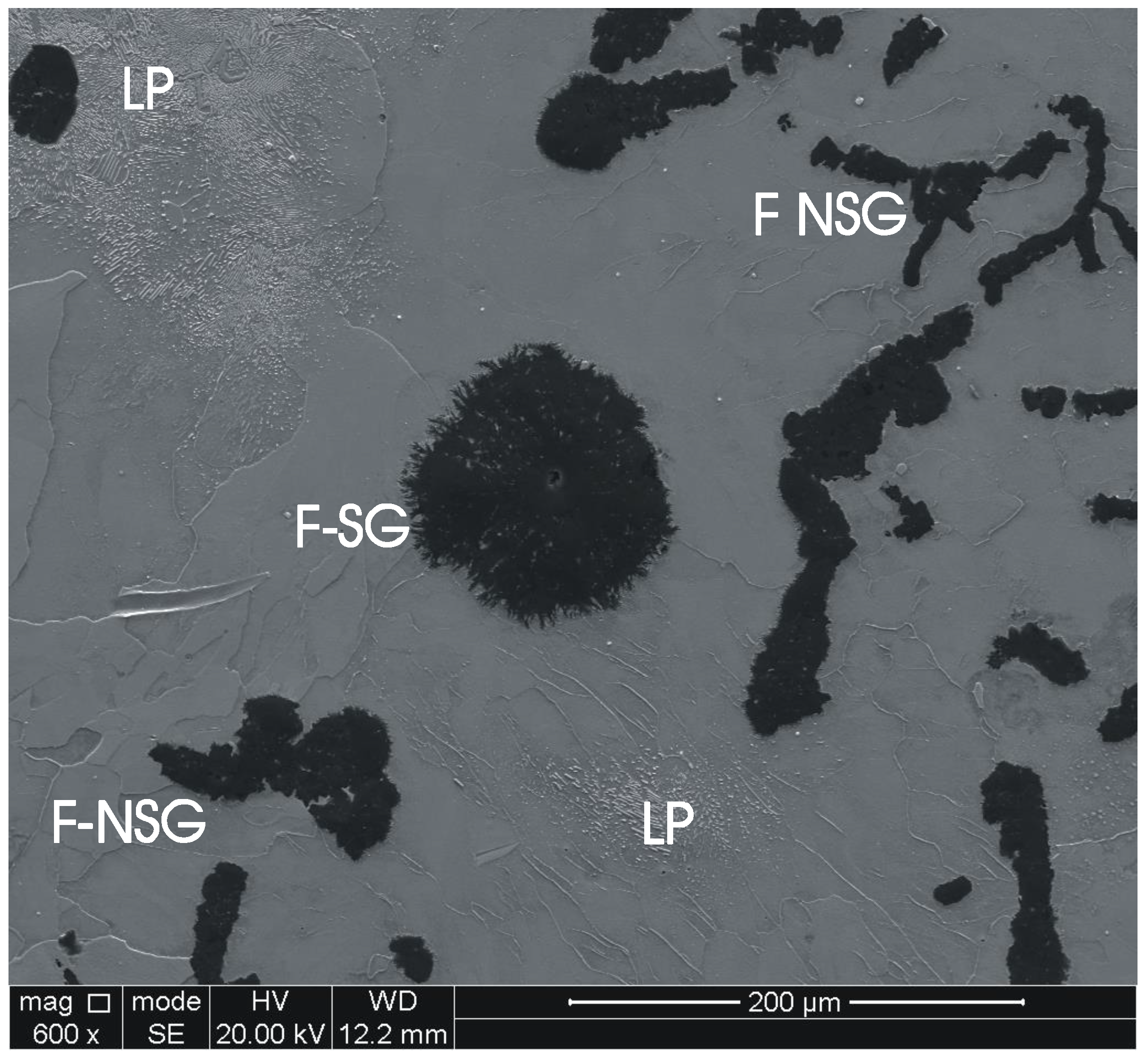 Materials 11 01159 g004 Materials 11 01159 g004