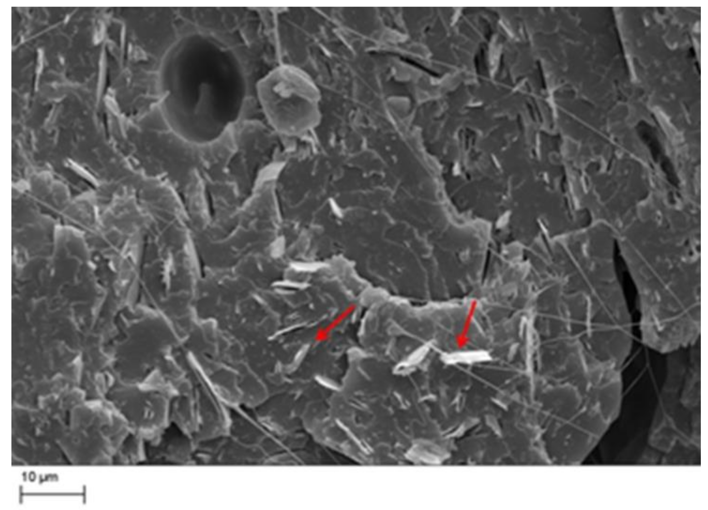 Materials 11 01191 g004 Materials 11 01191 g004