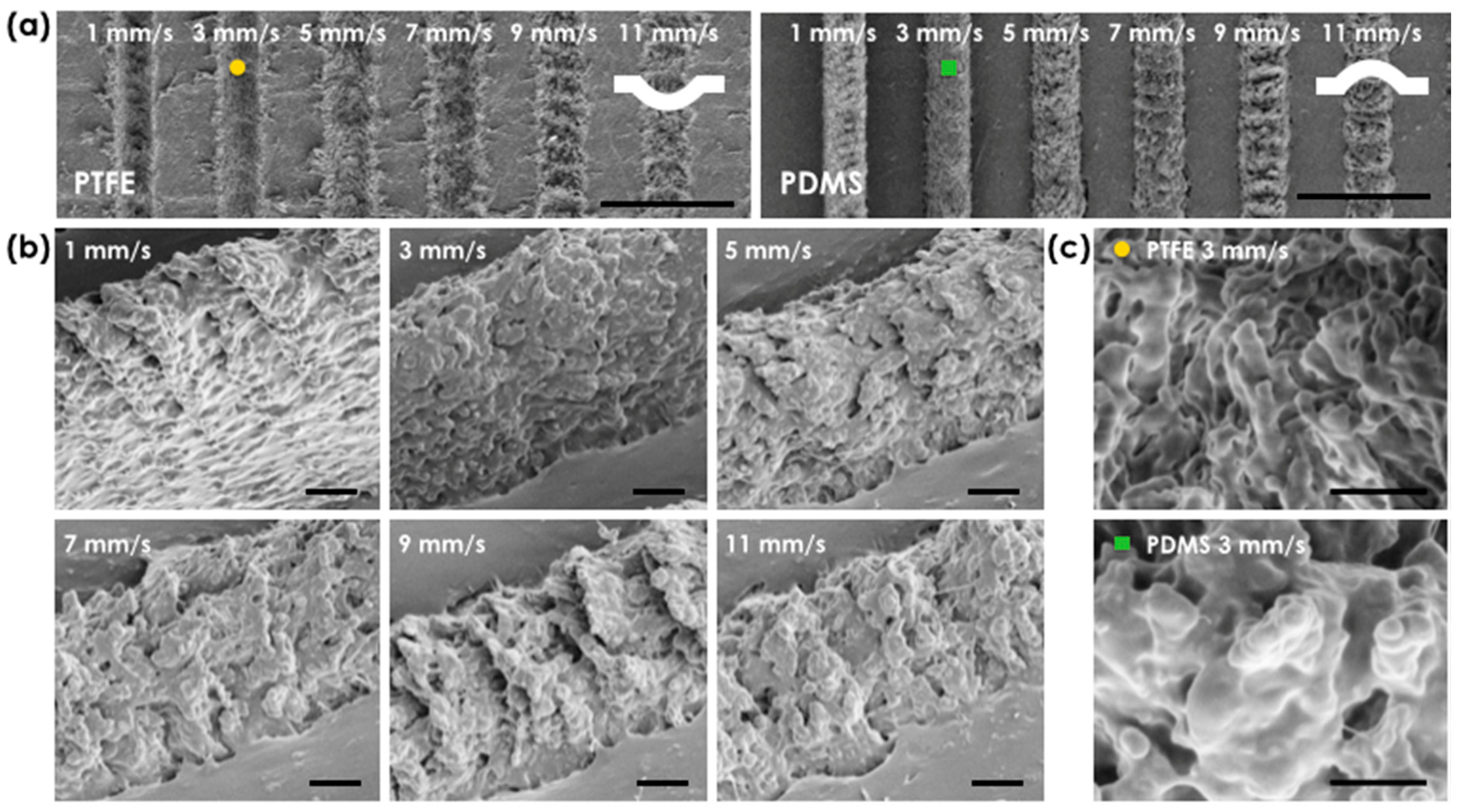 Materials 11 01226 g002