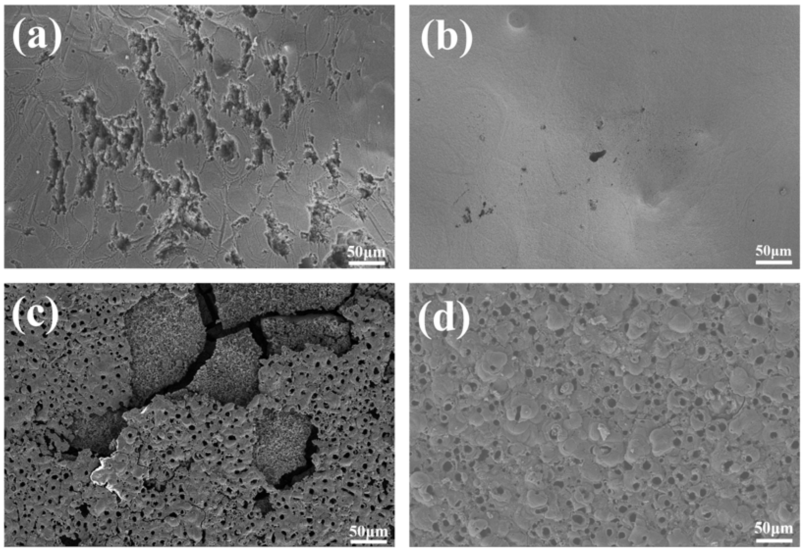 Materials 11 01232 g011