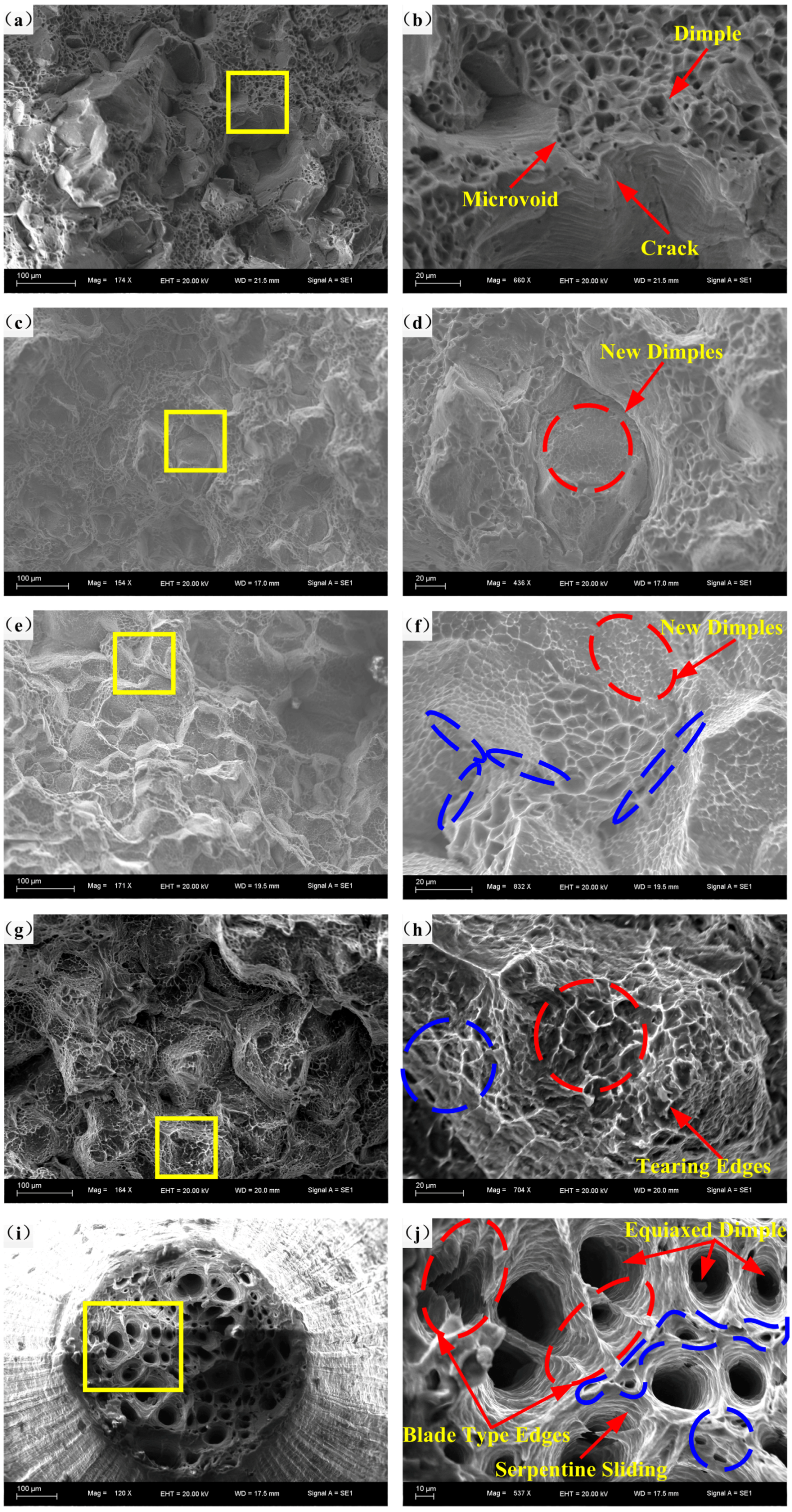Materials 11 01233 g010
