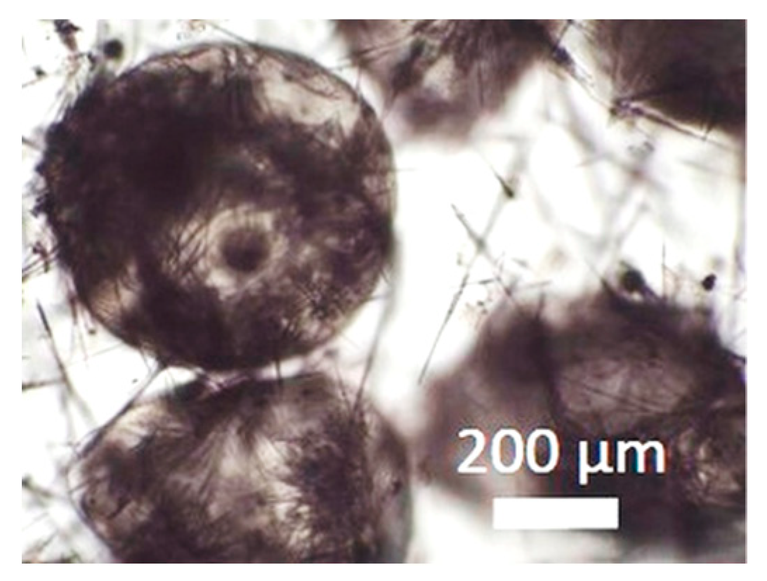 Materials 11 01287 g003