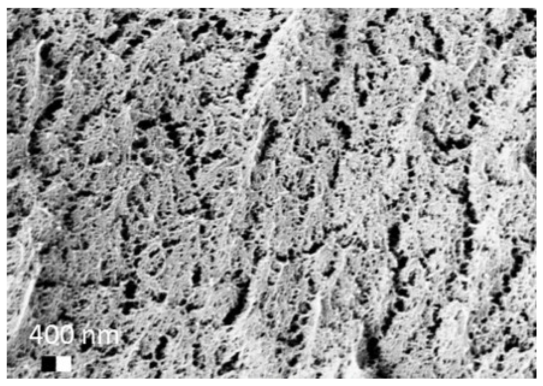 Materials 11 01287 g005