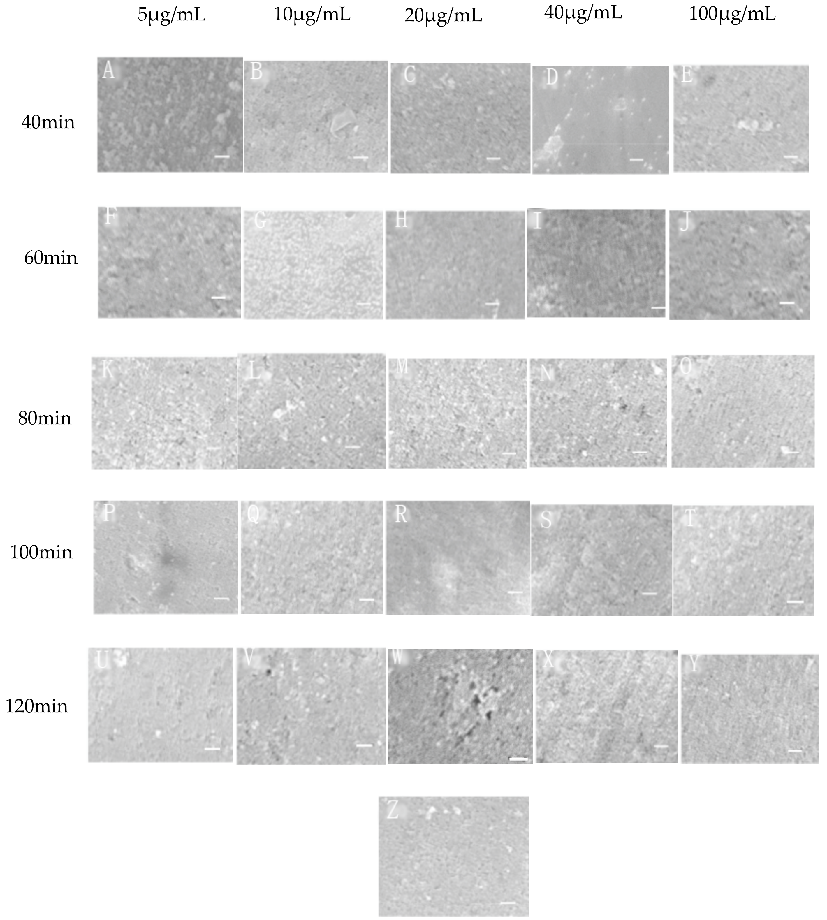 Materials 11 01289 g002 Materials 11 01289 g002