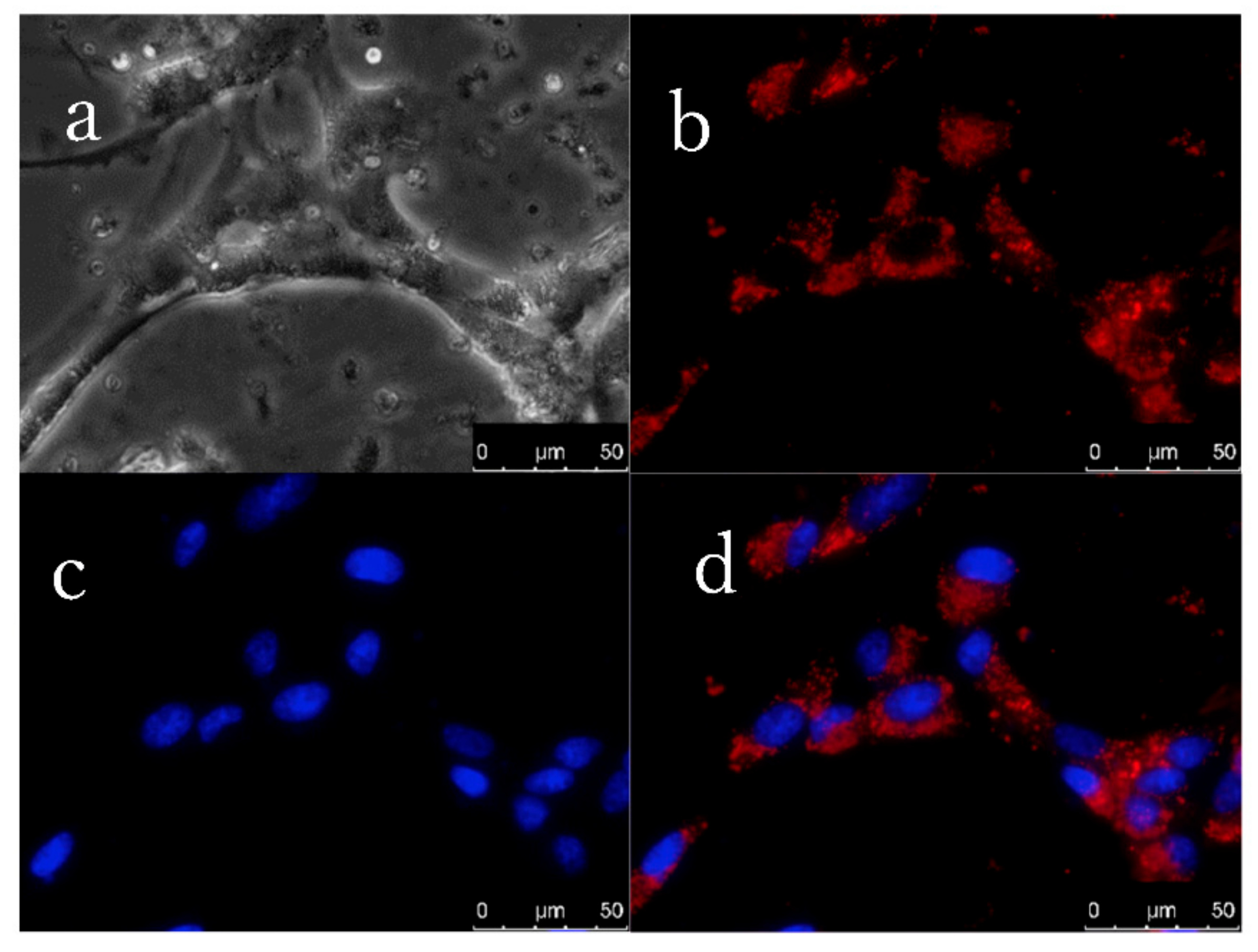 Materials 11 01297 g003 Materials 11 01297 g003