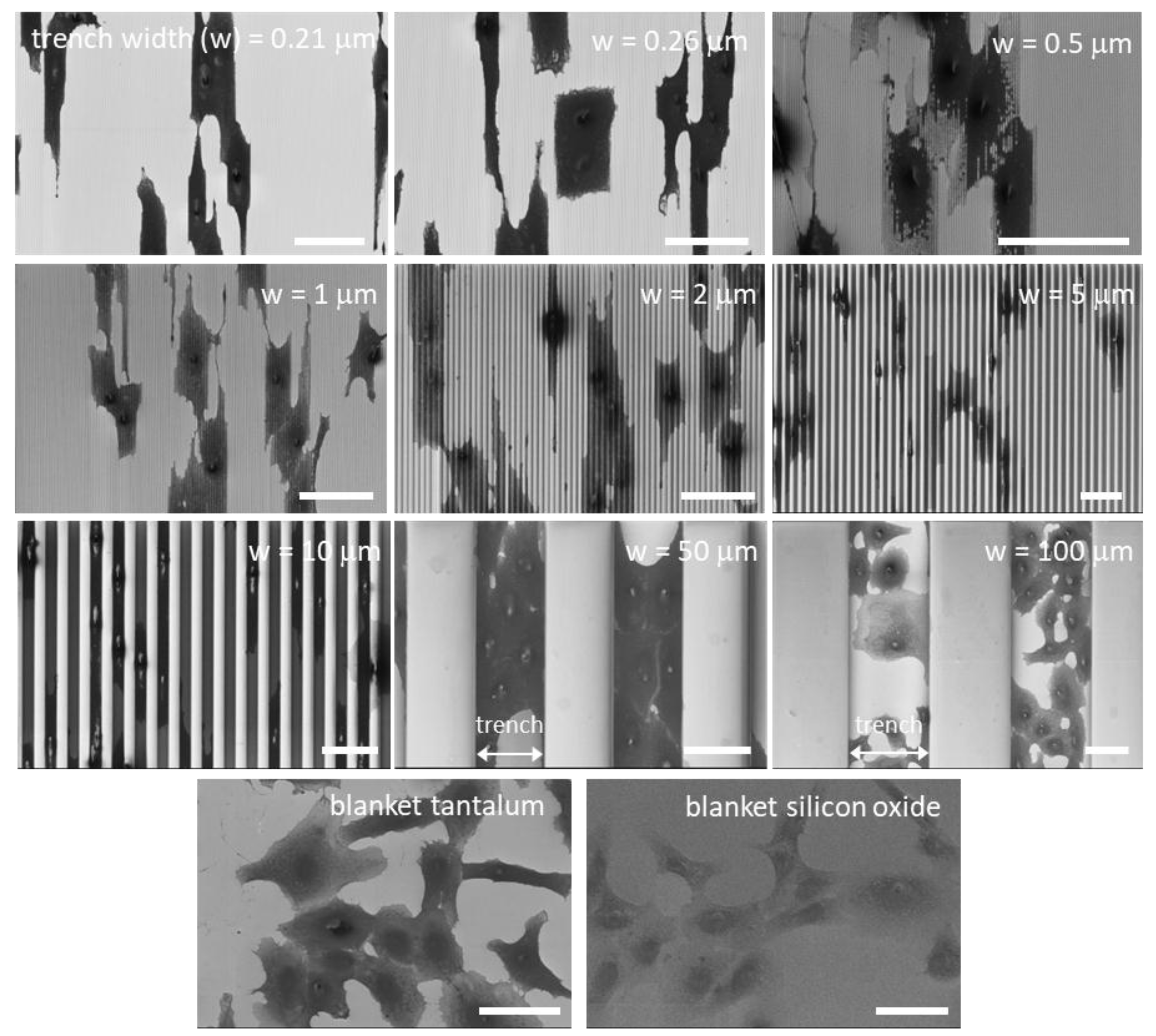 Materials 11 01306 g005 Materials 11 01306 g005