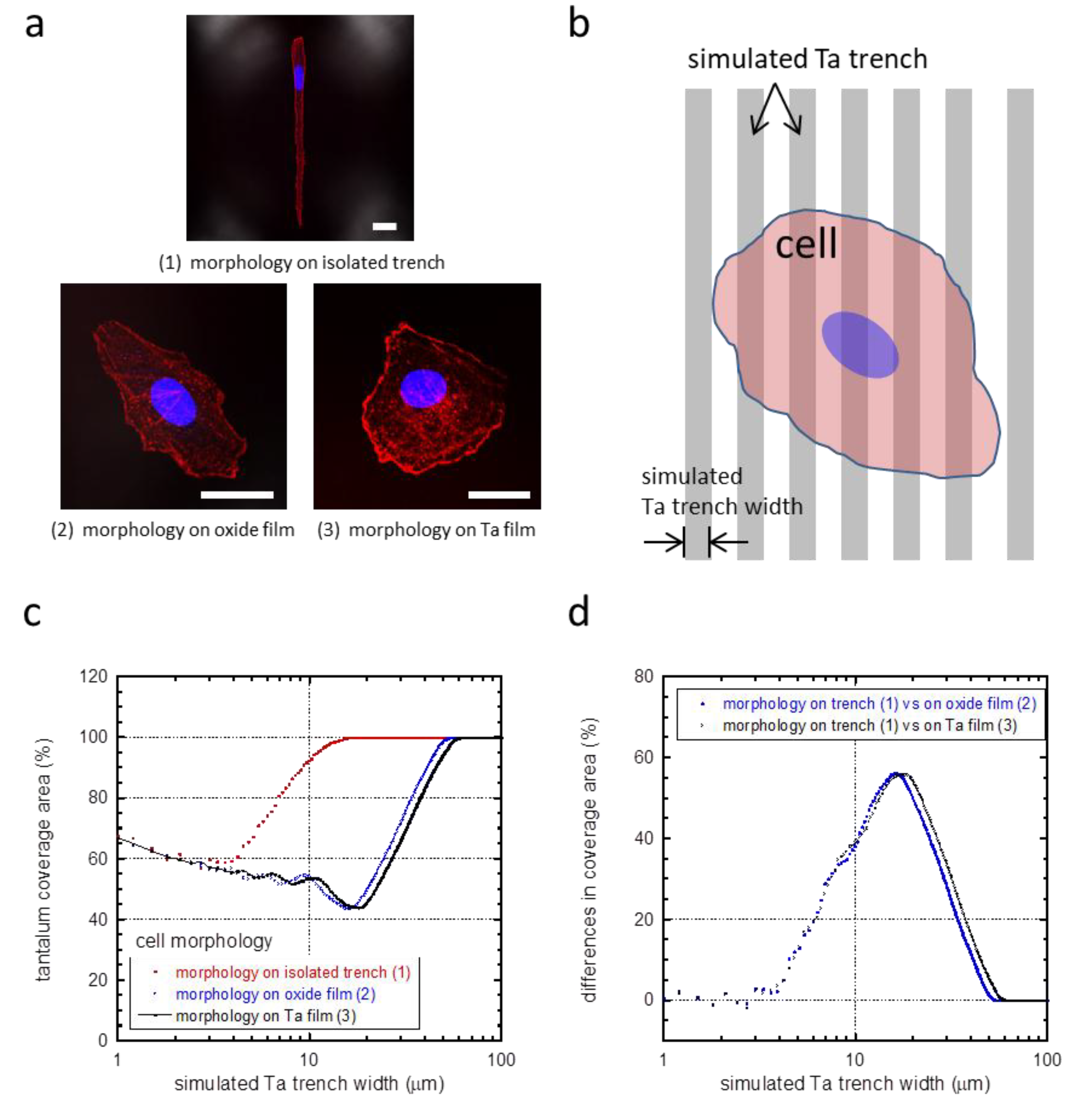 Materials 11 01306 g007 Materials 11 01306 g007