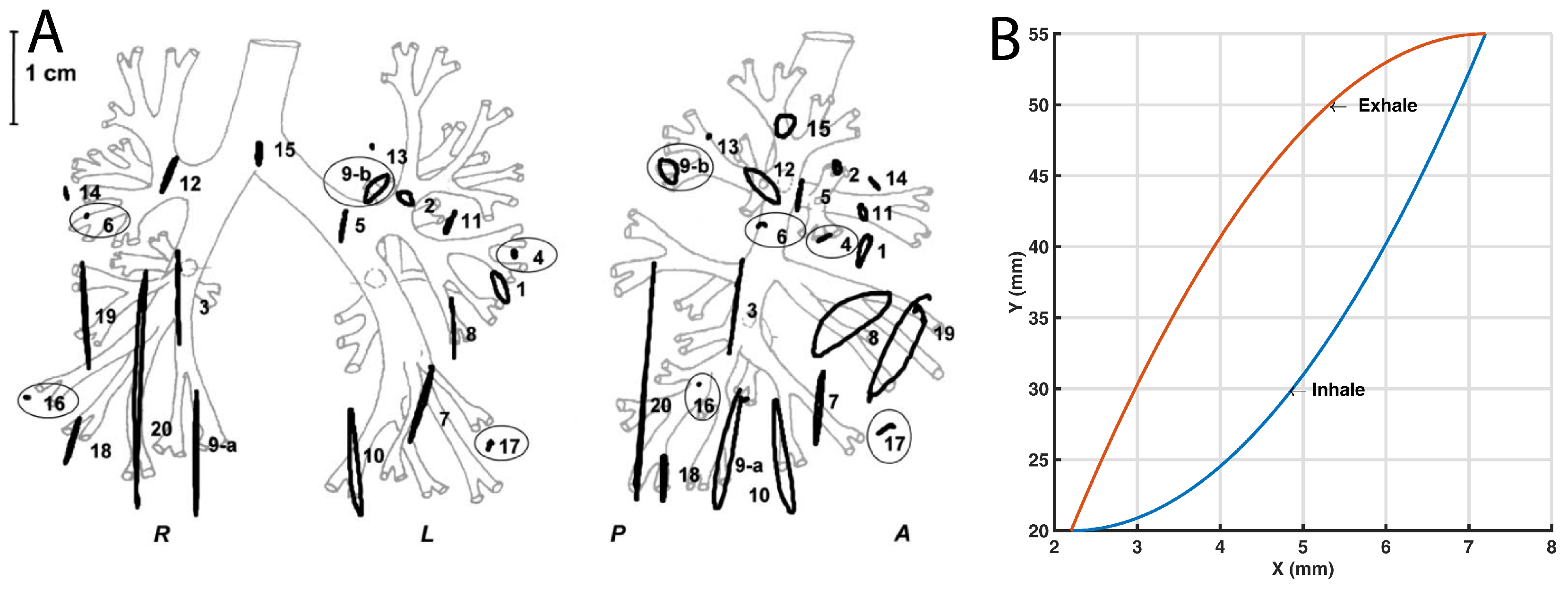Materials 11 01317 g001 Materials 11 01317 g001