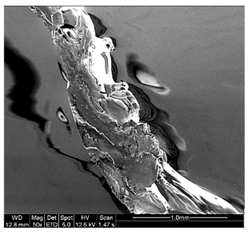 Materials 11 01322 i012