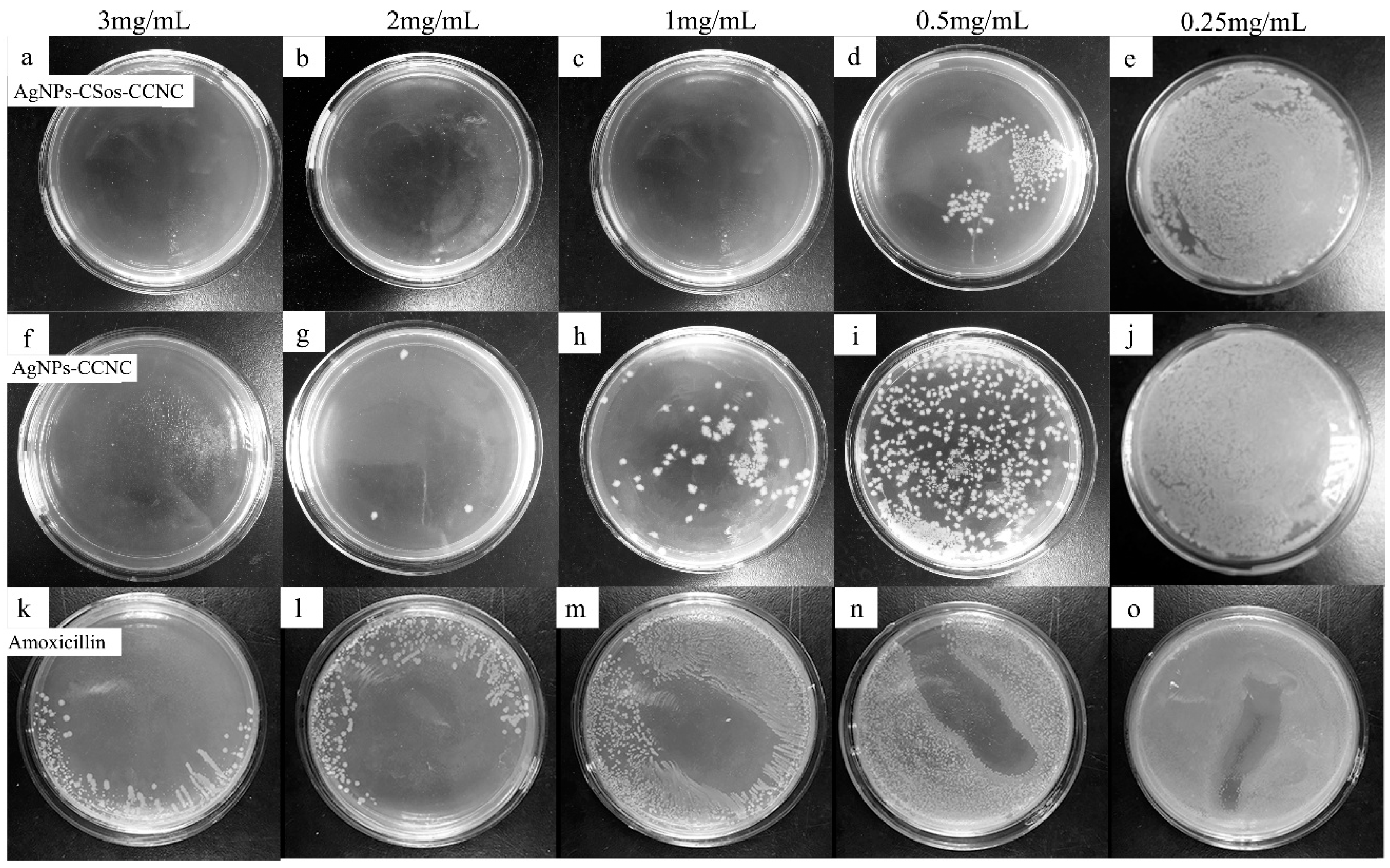 Materials 11 01339 g006 Materials 11 01339 g006