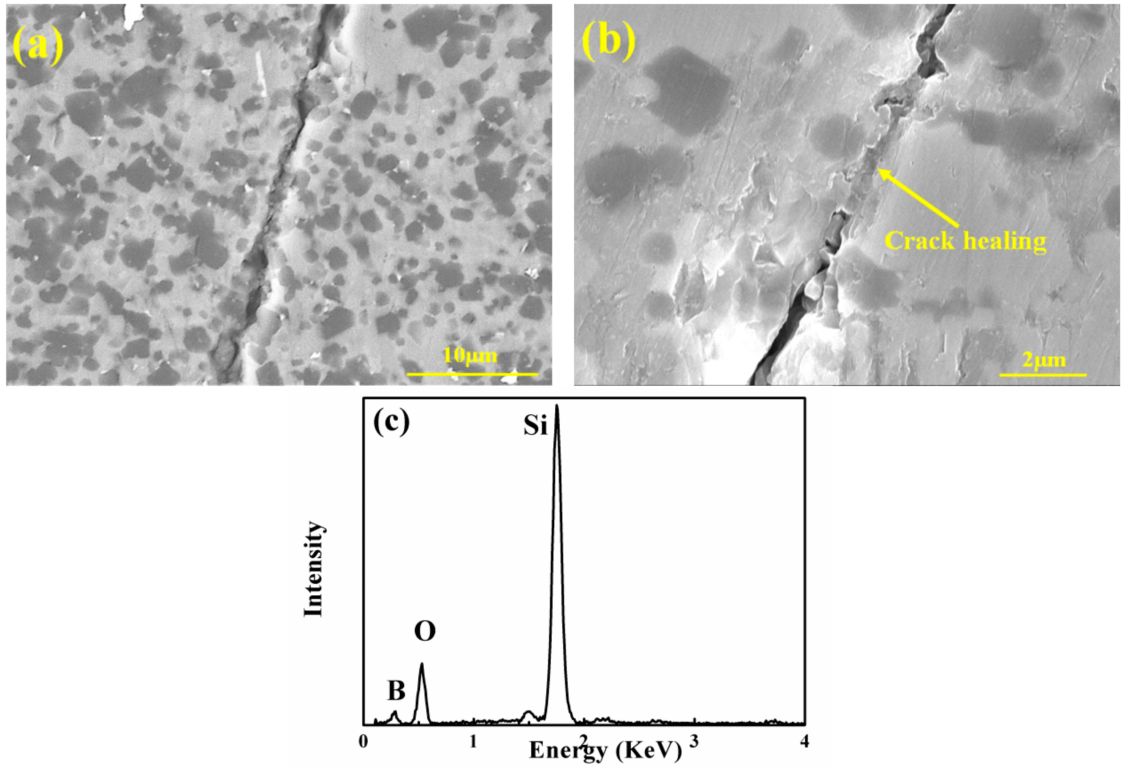 Materials 11 01367 g008