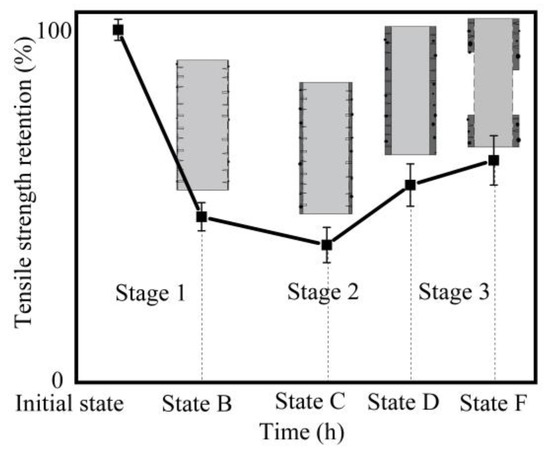 Corrosion Behavior and Mechanism of Basalt Fibers in Sodium Hydroxide ...