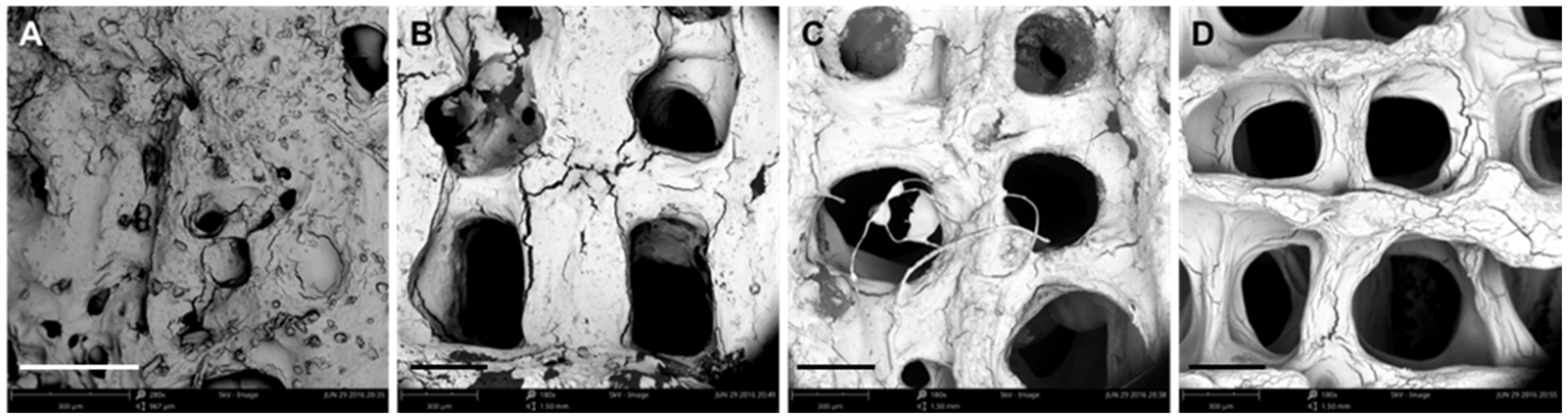 Materials 11 01390 g003 Materials 11 01390 g003