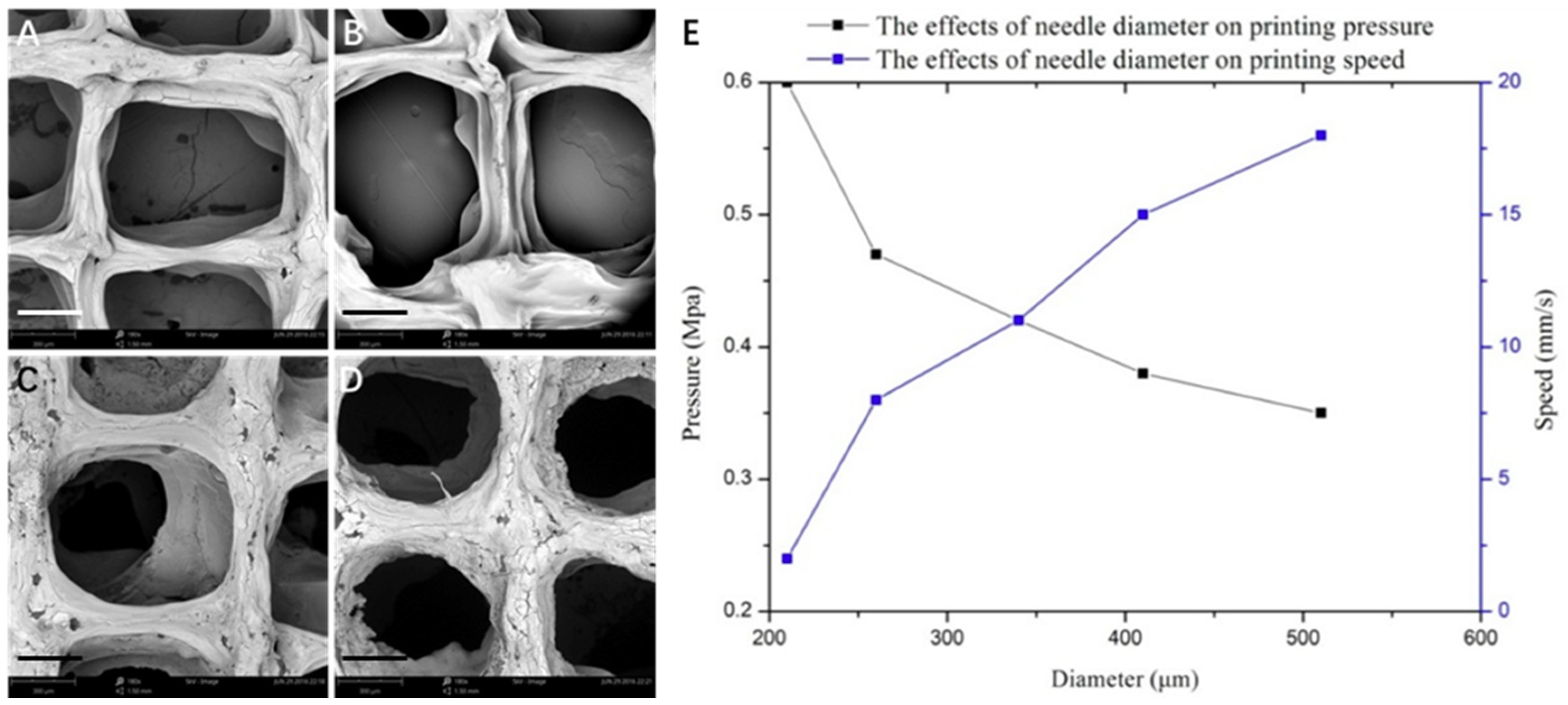 Materials 11 01390 g004 Materials 11 01390 g004