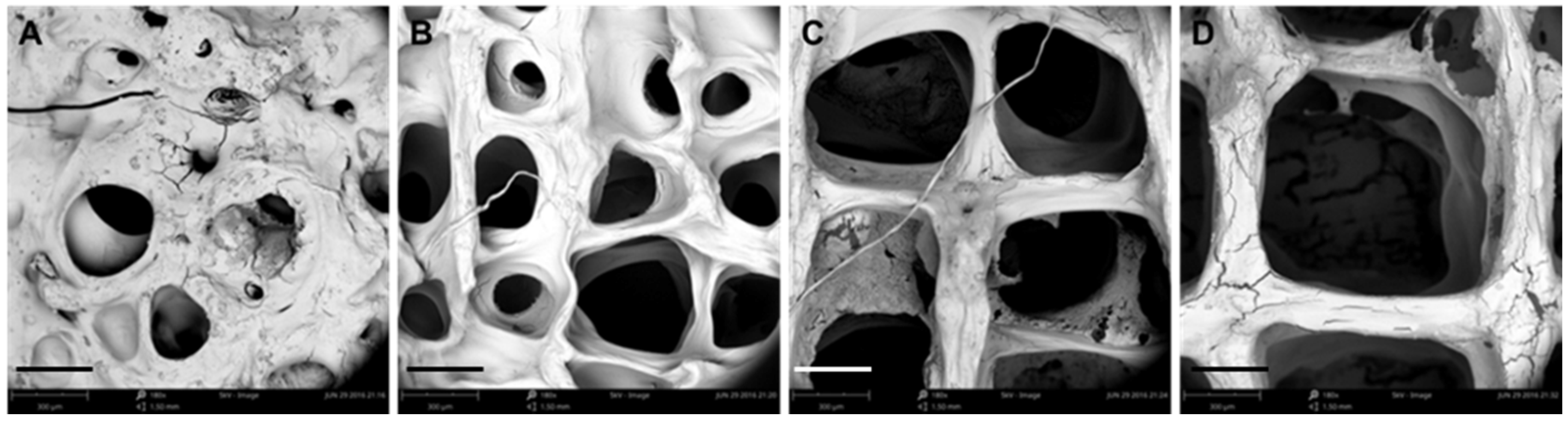 Materials 11 01390 g005 Materials 11 01390 g005
