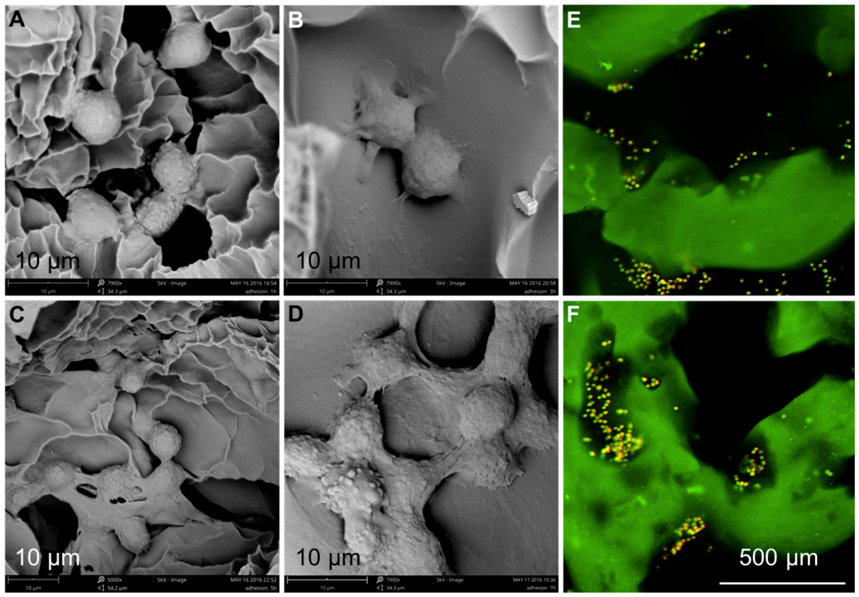 Materials 11 01390 g010 Materials 11 01390 g010