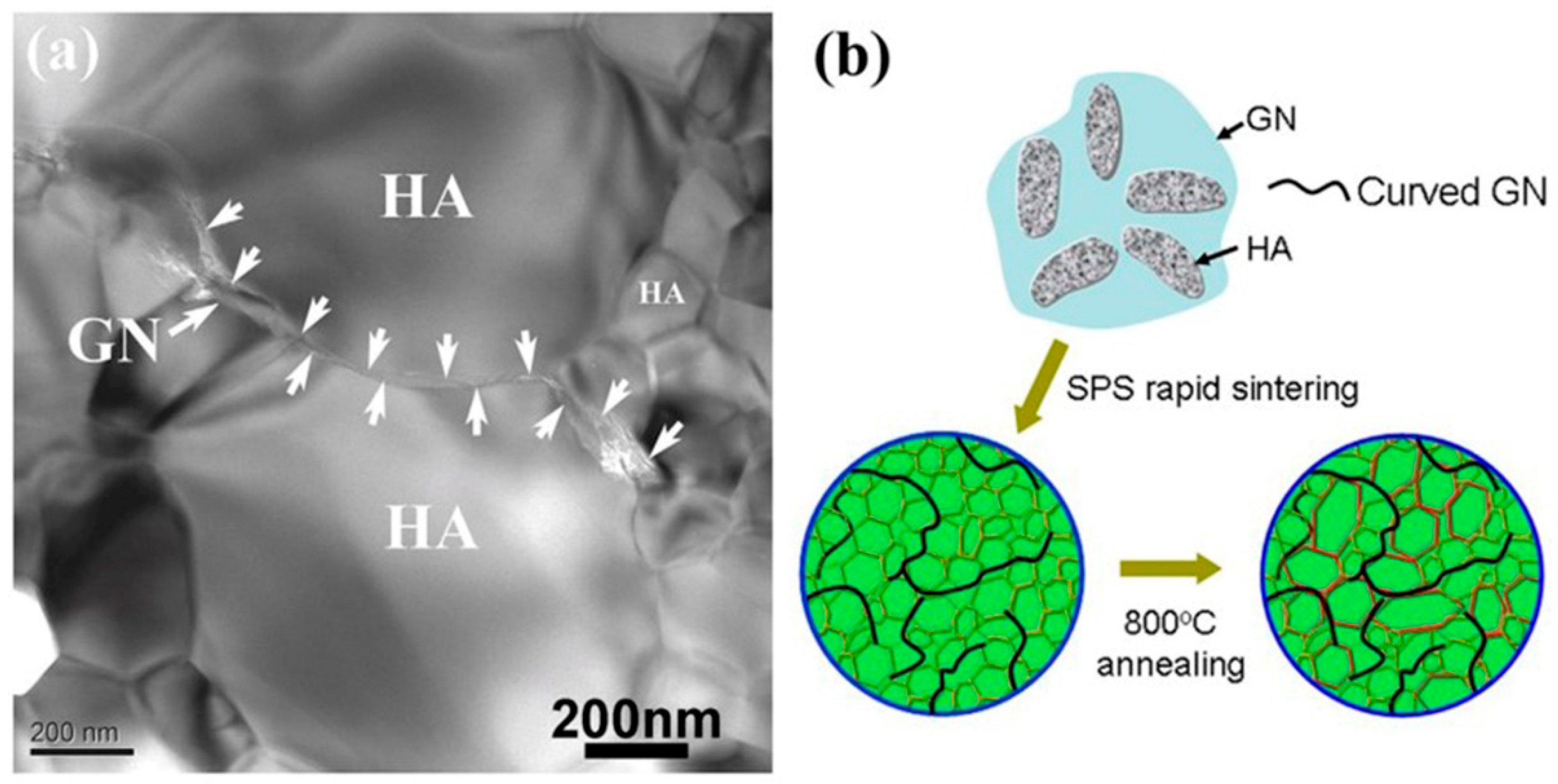 Materials 11 01391 g008 Materials 11 01391 g008