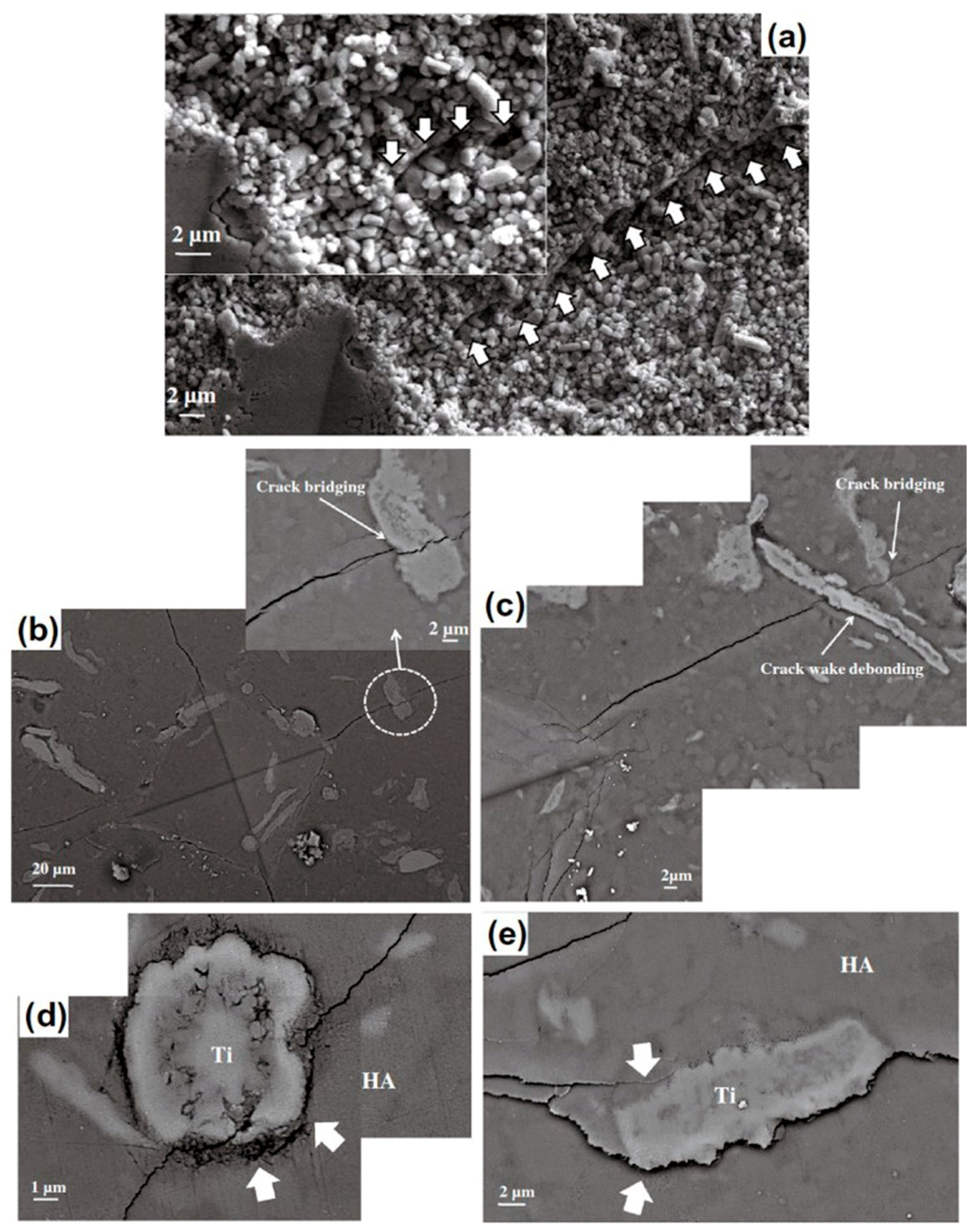 Materials 11 01391 g010 Materials 11 01391 g010