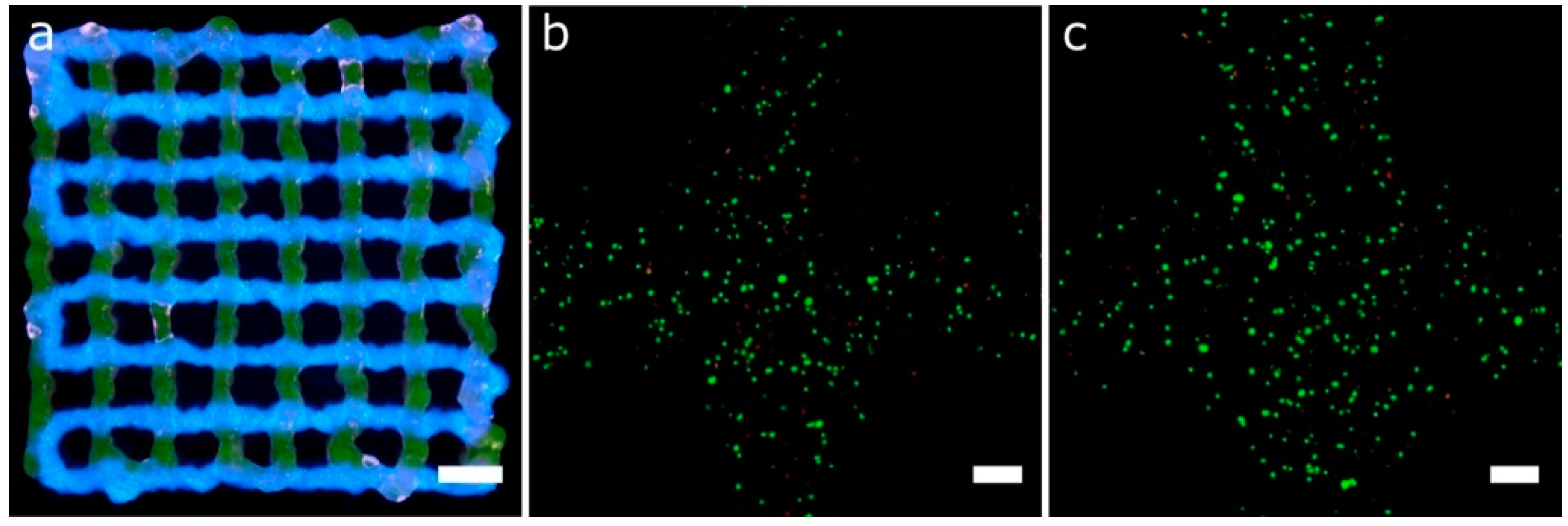 Materials 11 01402 g015 Materials 11 01402 g015