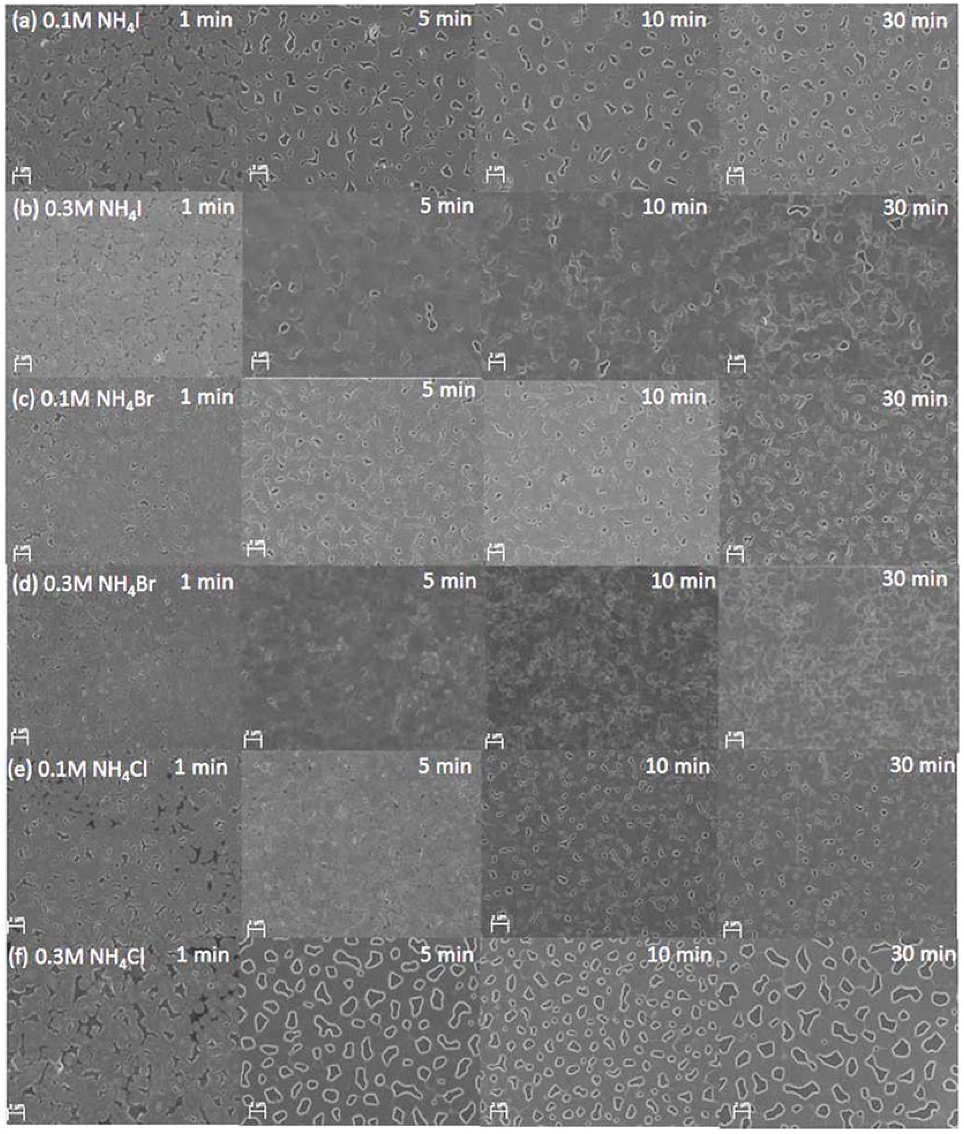 Materials 11 01417 g004 Materials 11 01417 g004