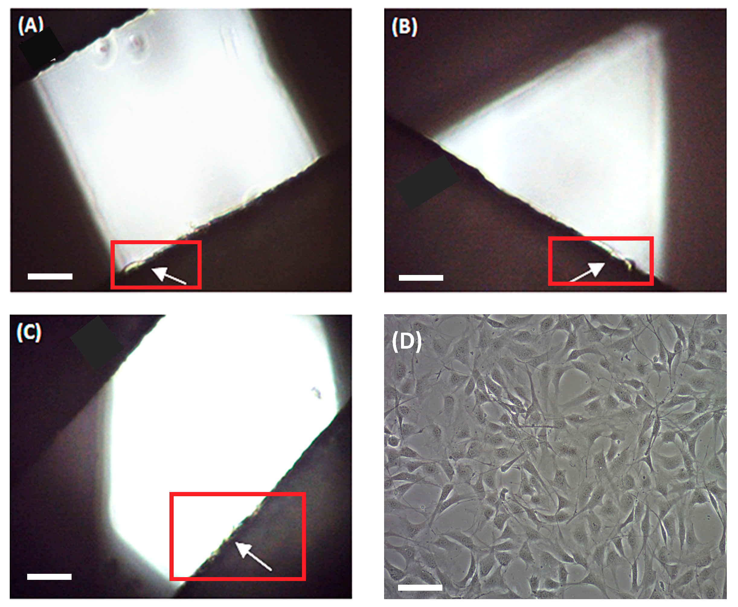 Materials 11 01427 g006