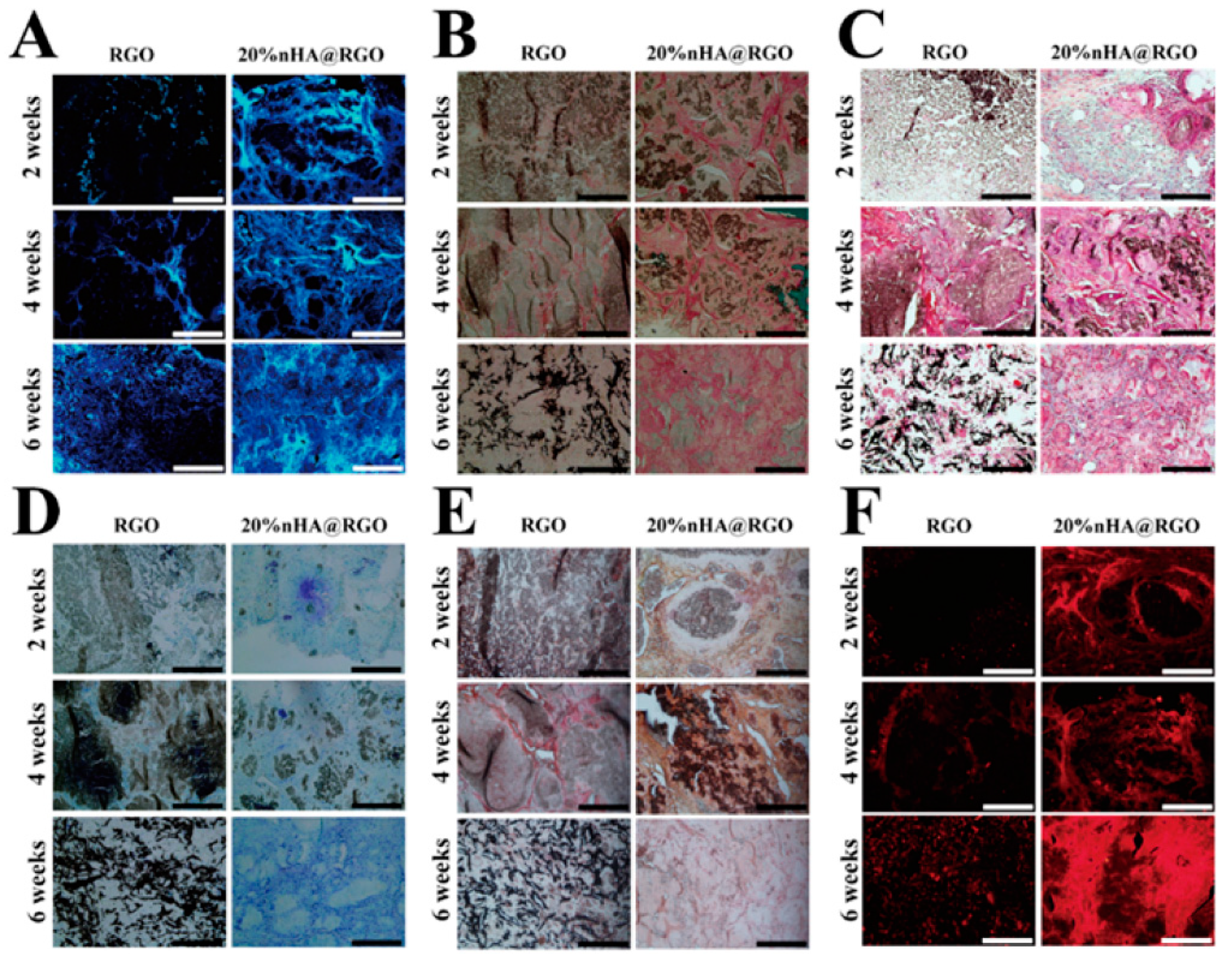 Materials 11 01430 g005