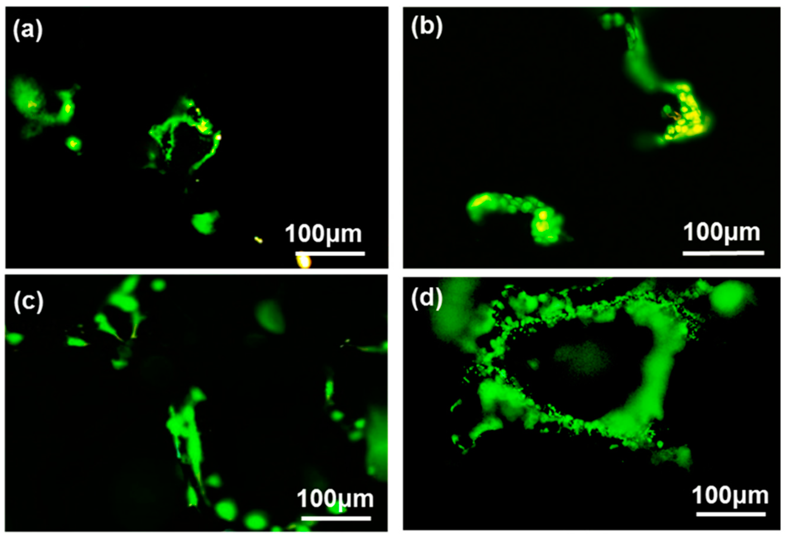 Materials 11 01430 g006