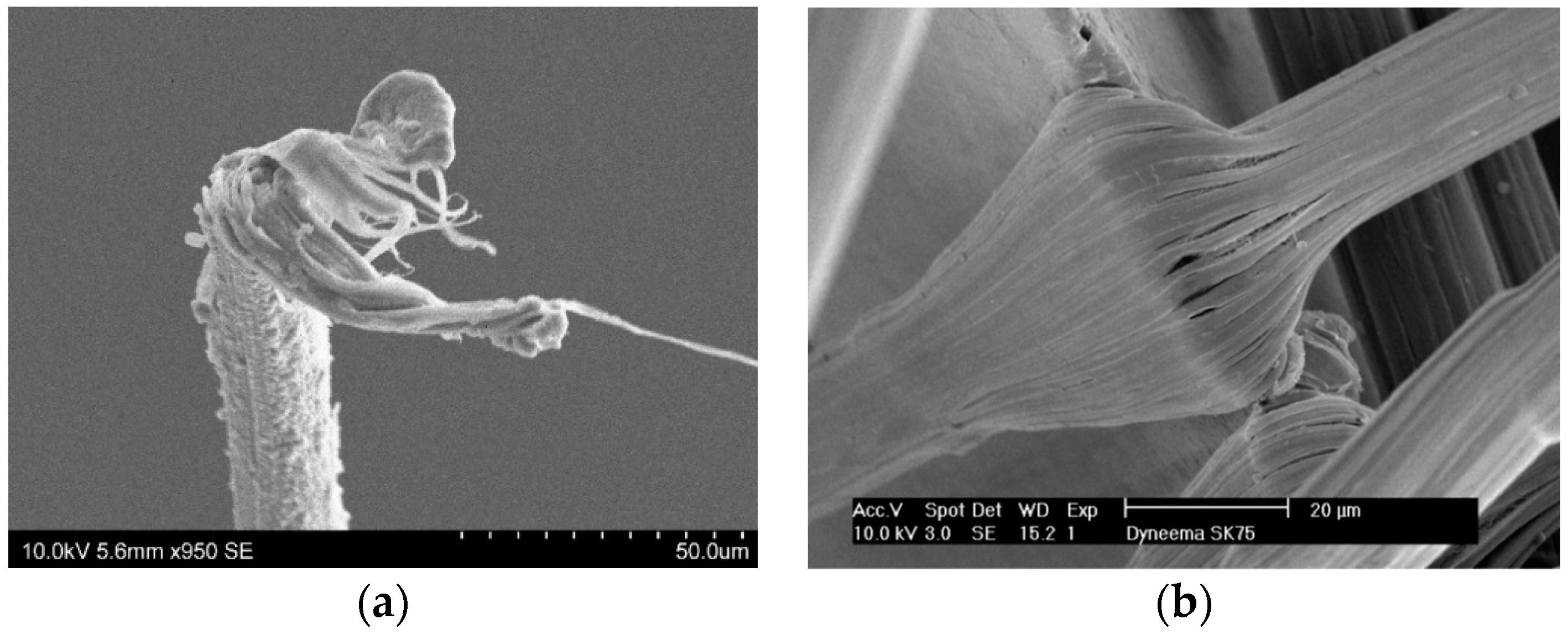 Materials 11 01431 g003