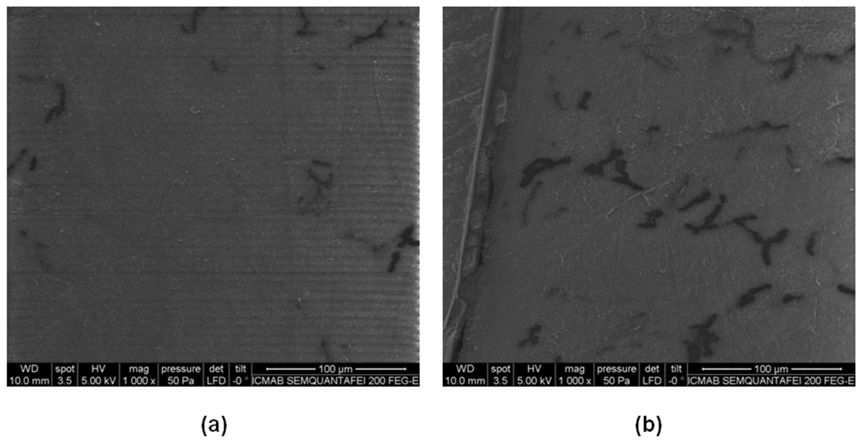 Materials 11 01472 g004 Materials 11 01472 g004