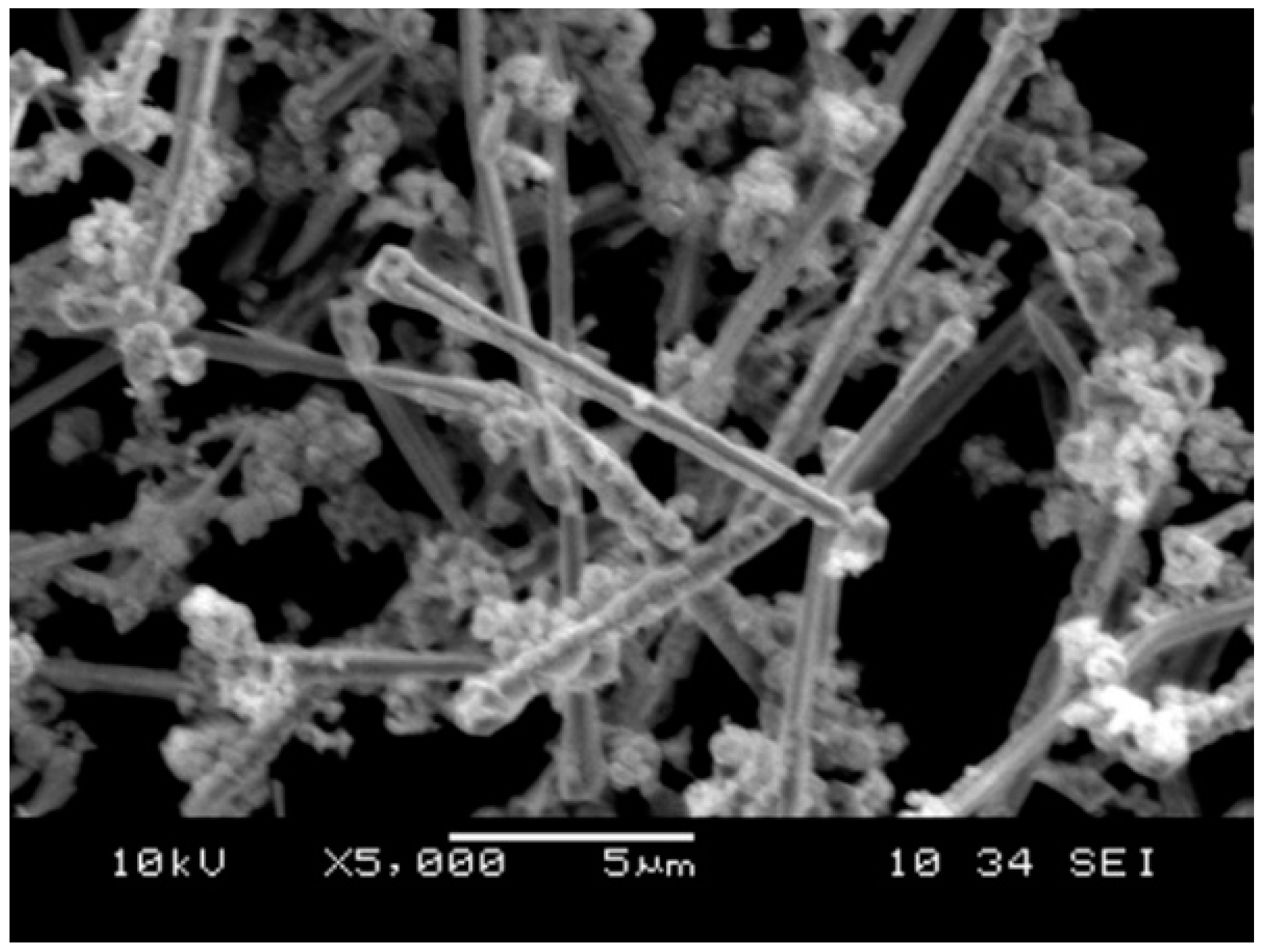 Materials 11 01477 g003 Materials 11 01477 g003