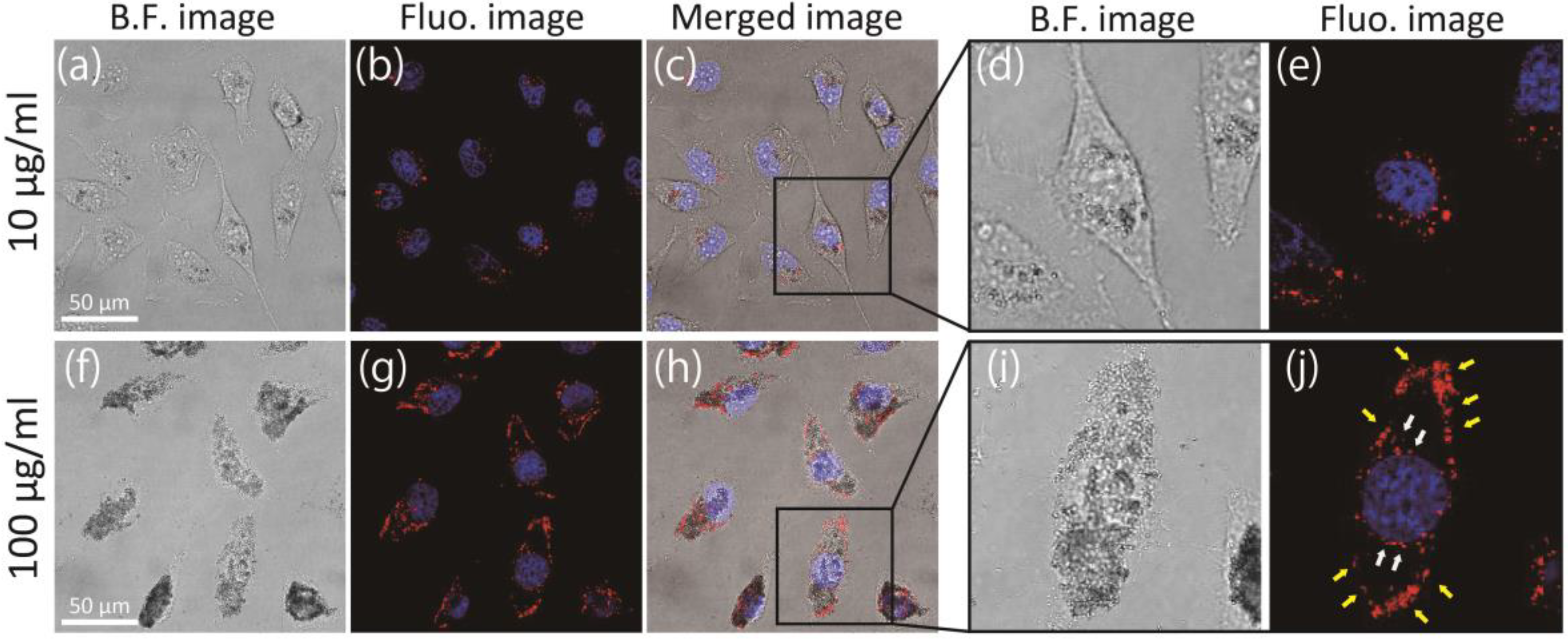 Materials 11 01479 g004