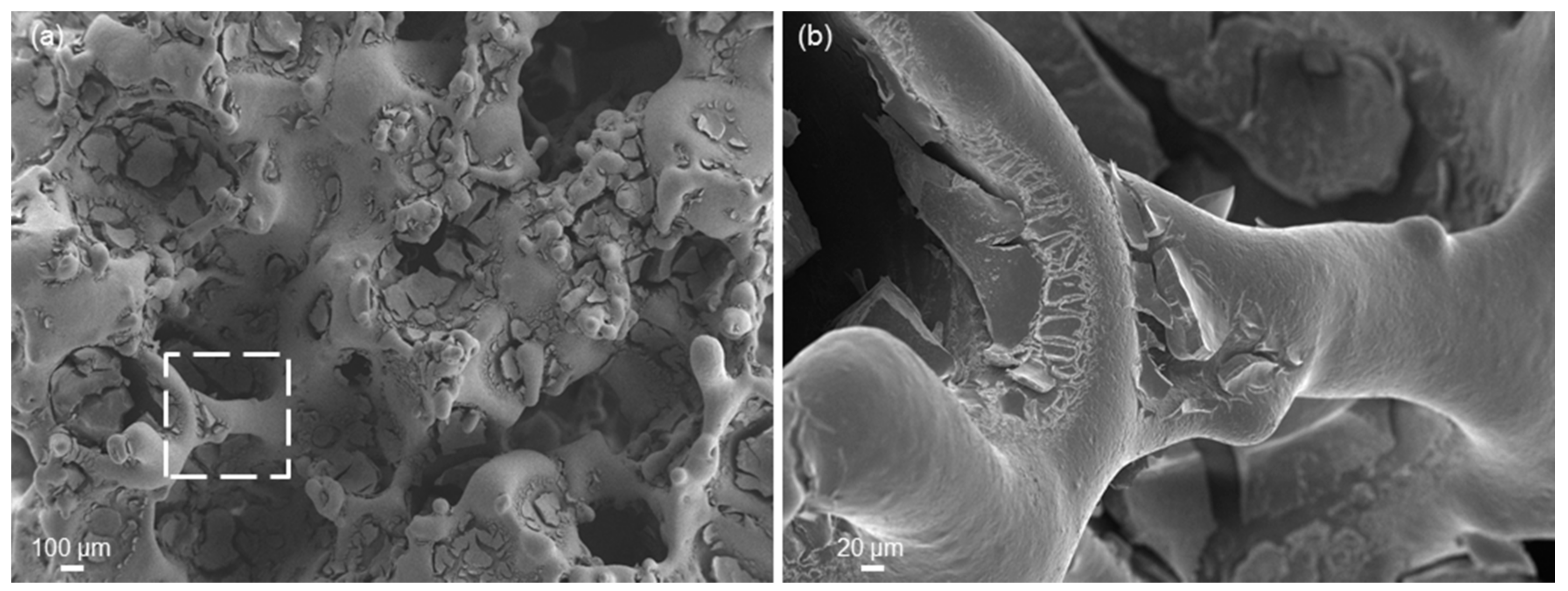 Materials 11 01524 g009