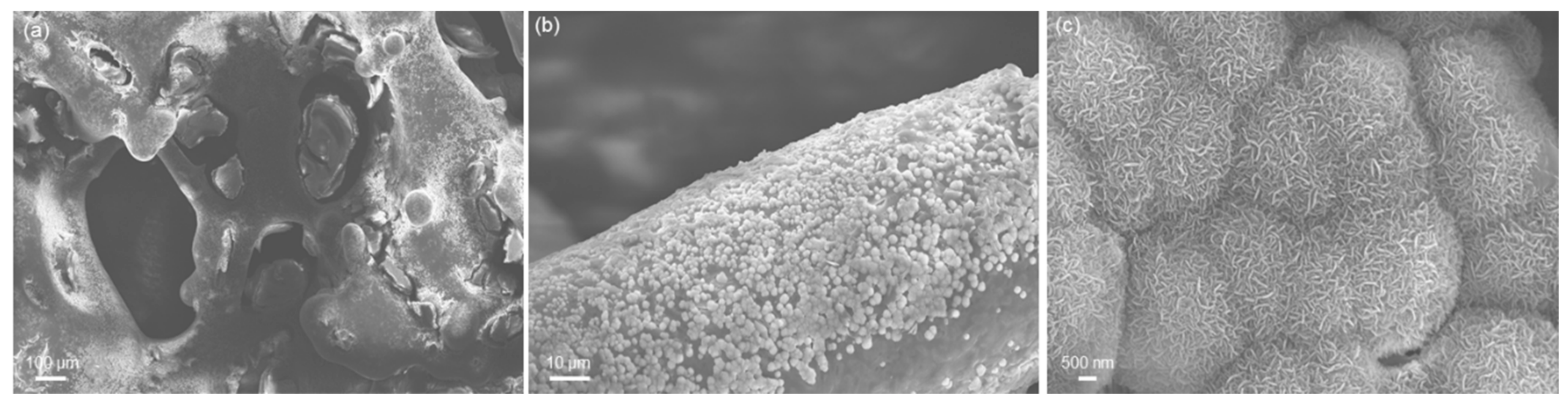 Materials 11 01524 g011