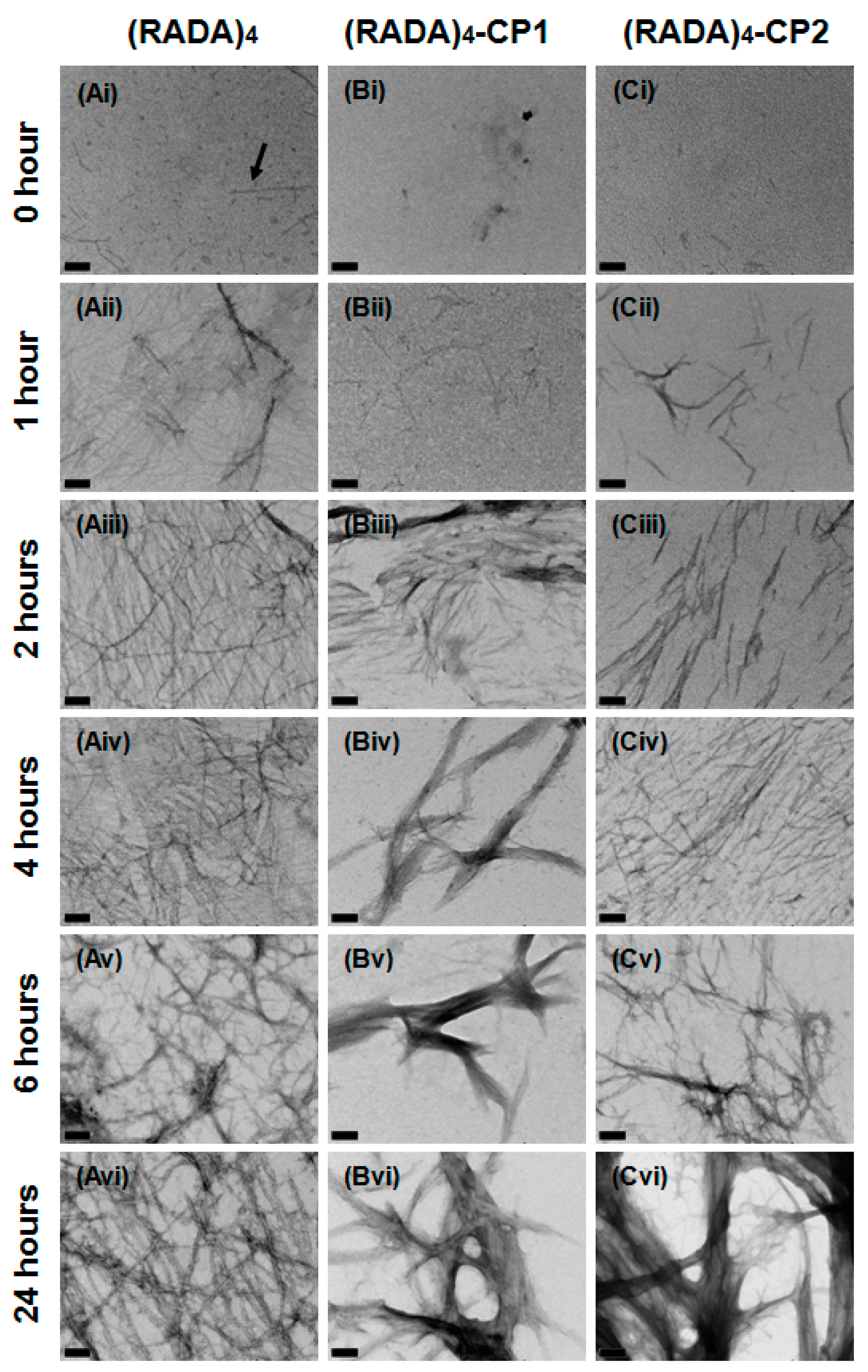 Materials 11 01539 g003