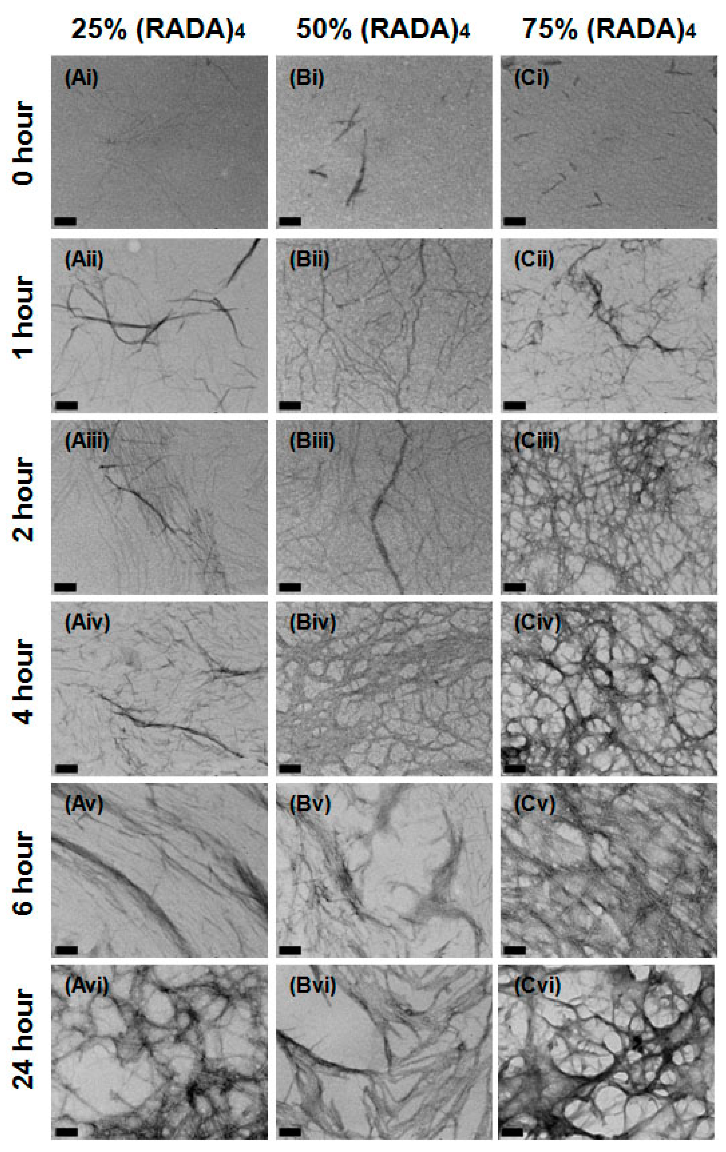 Materials 11 01539 g004