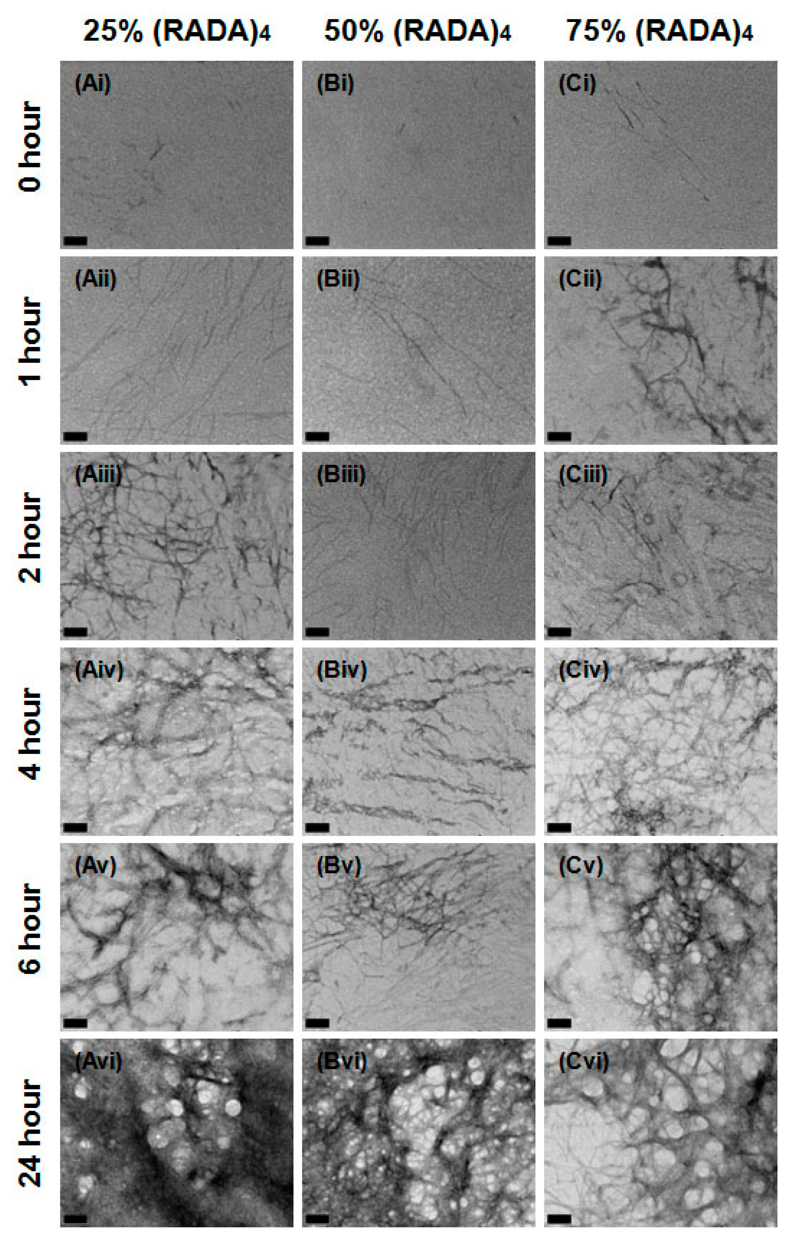 Materials 11 01539 g005