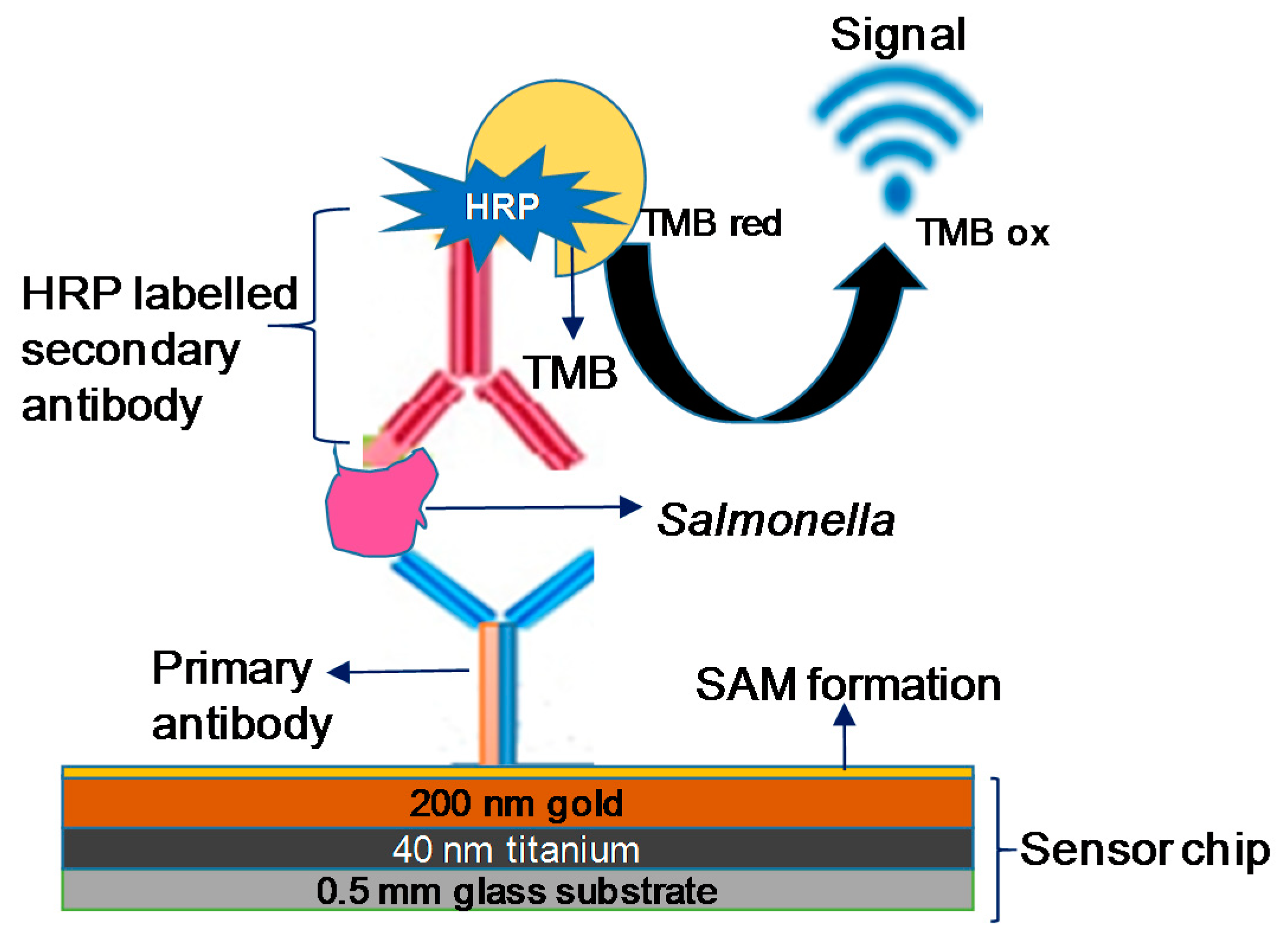 Materials 11 01541 sch001 Materials 11 01541 sch001