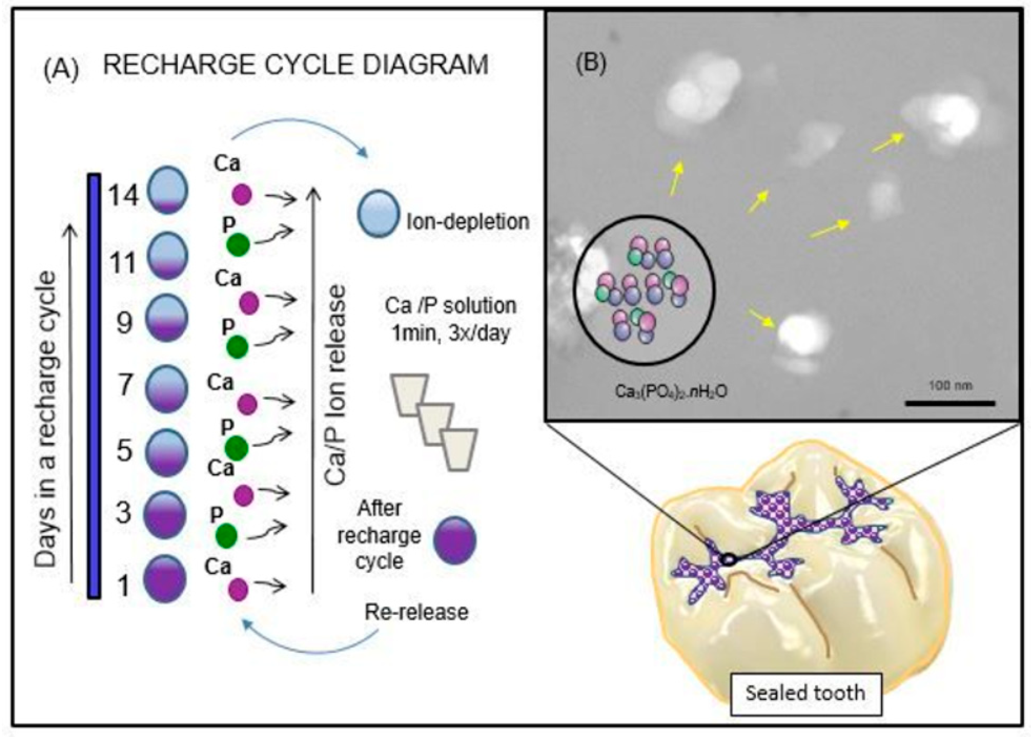 Materials 11 01544 g001