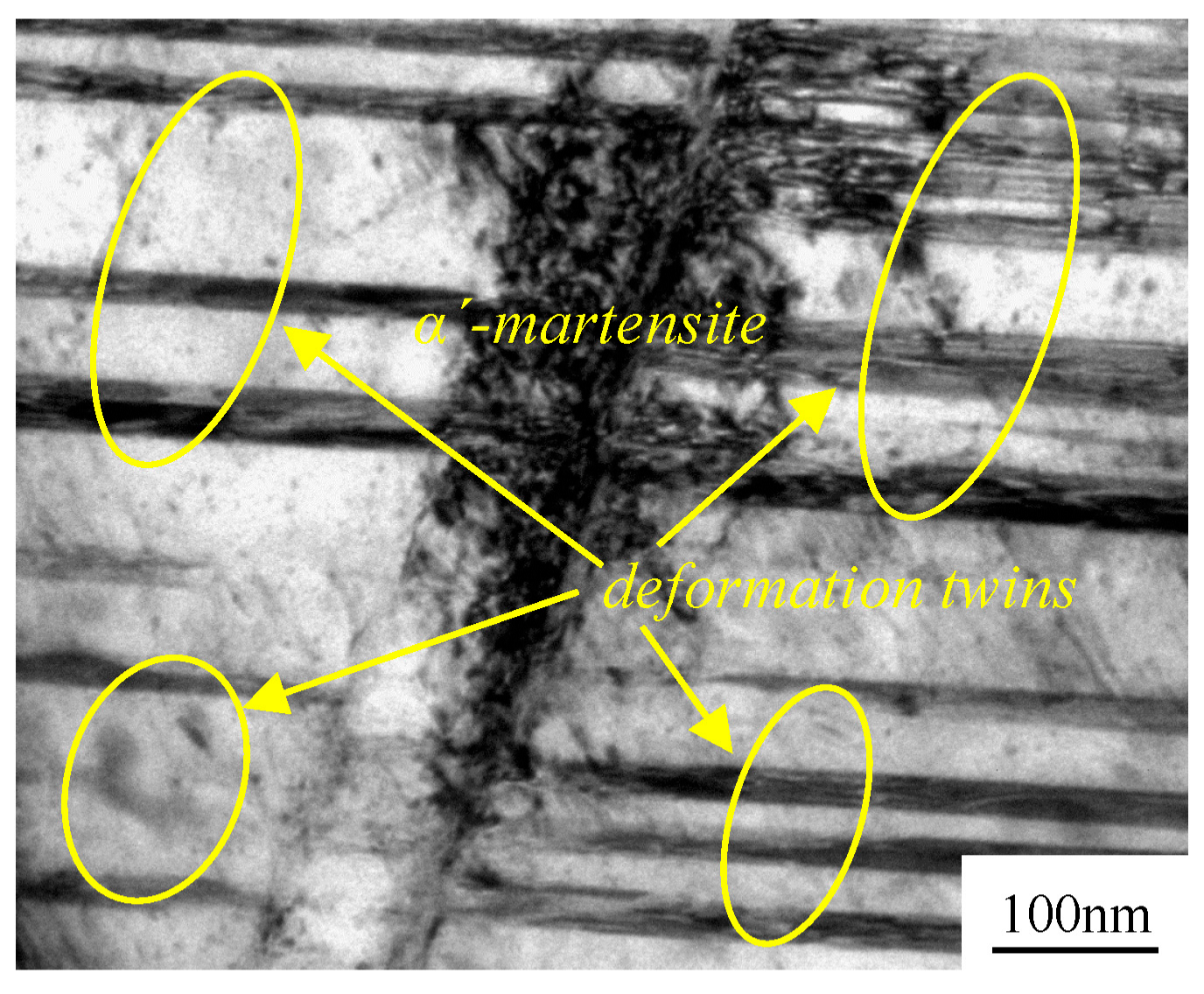 Materials 11 01557 g007