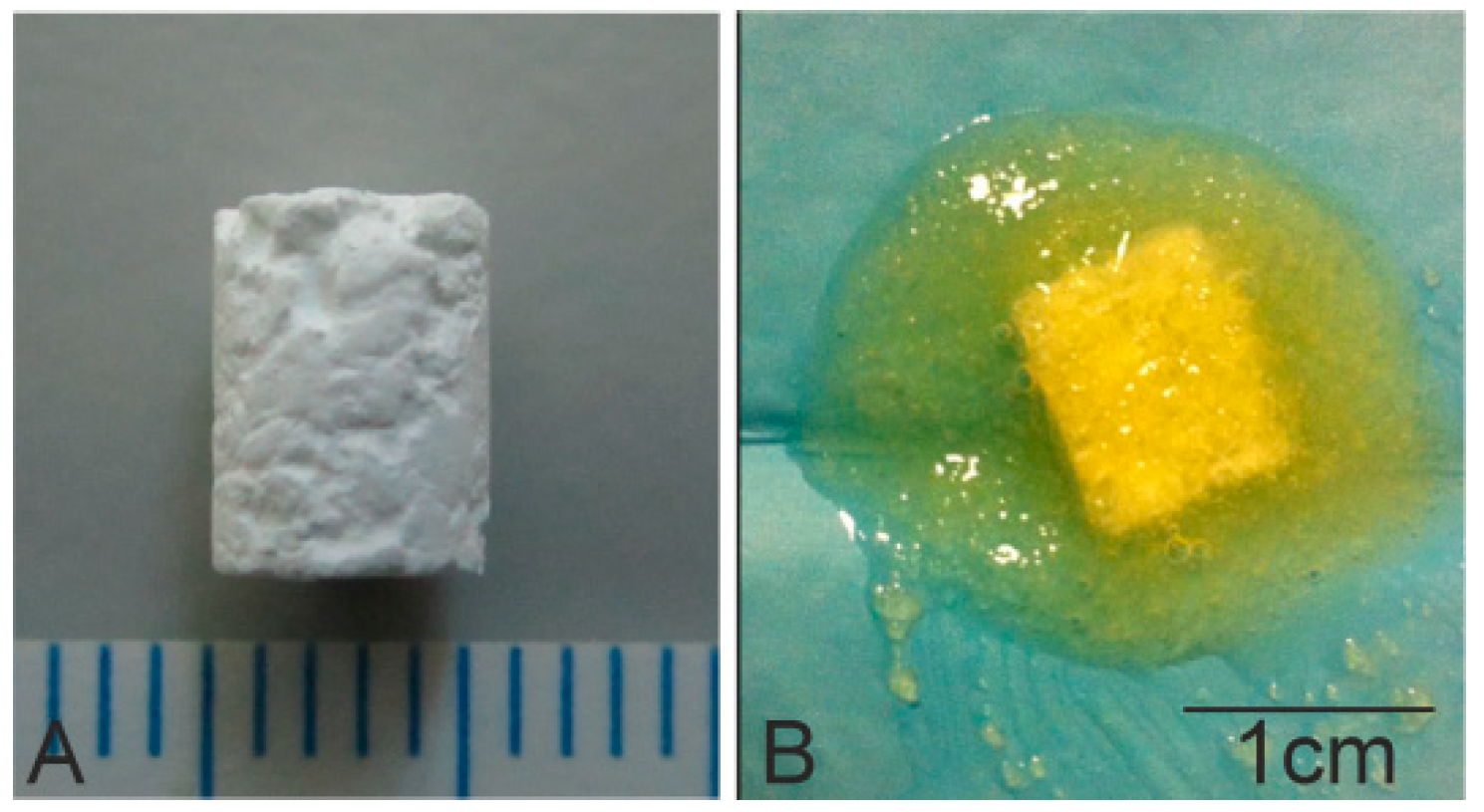 Materials 11 01580 g001