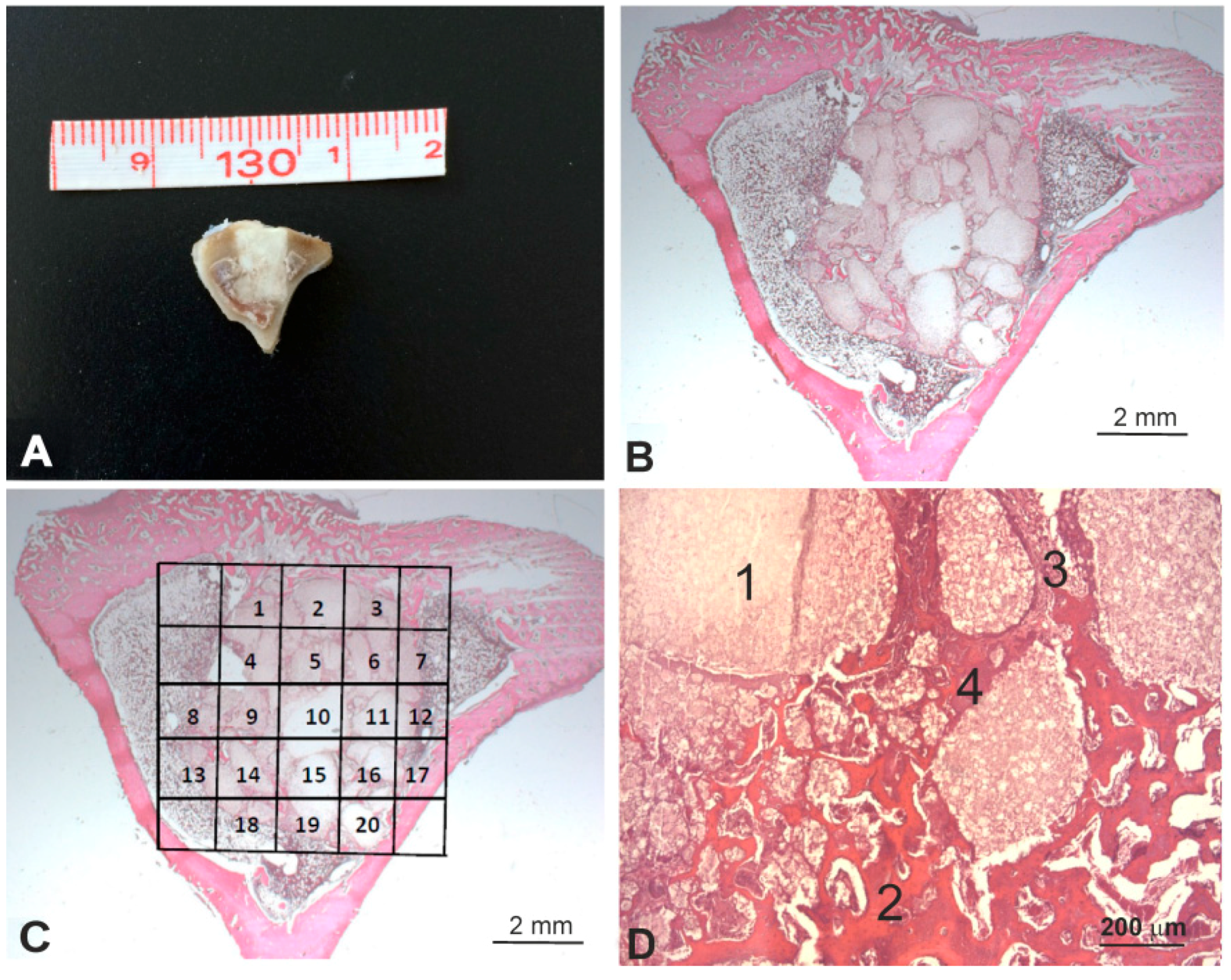 Materials 11 01580 g002