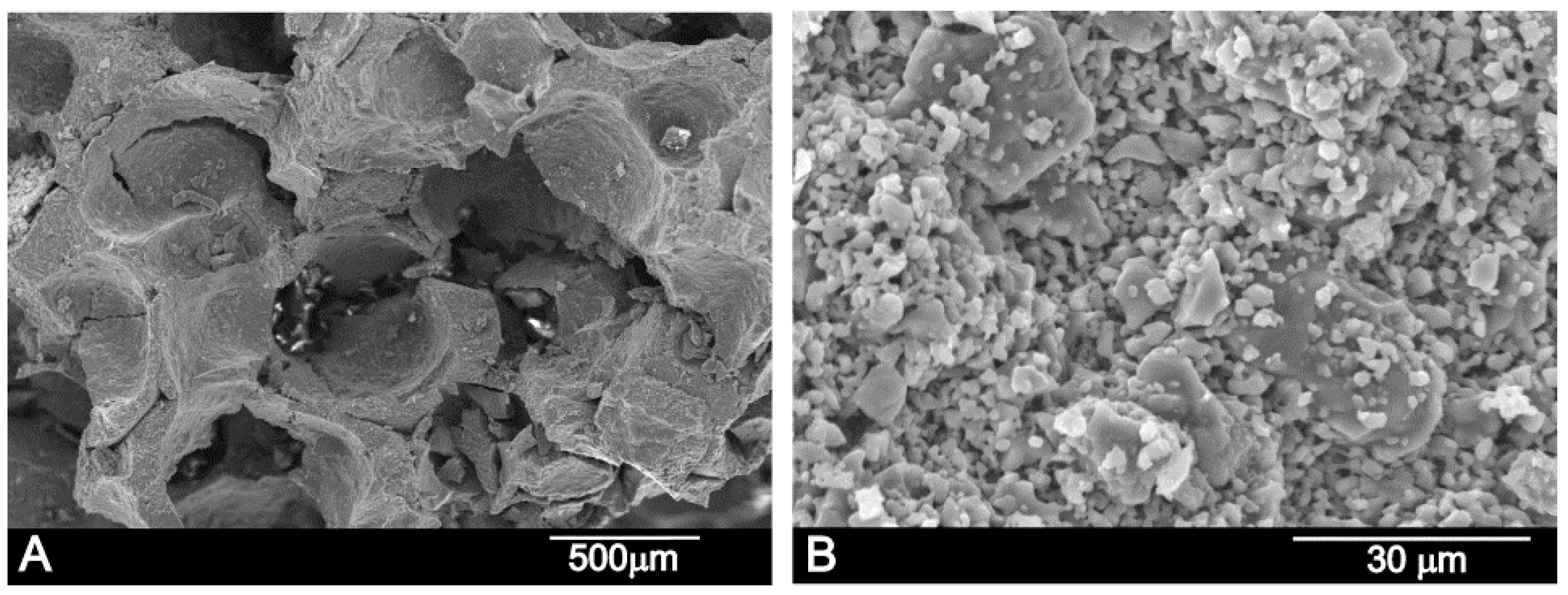 Materials 11 01580 g004