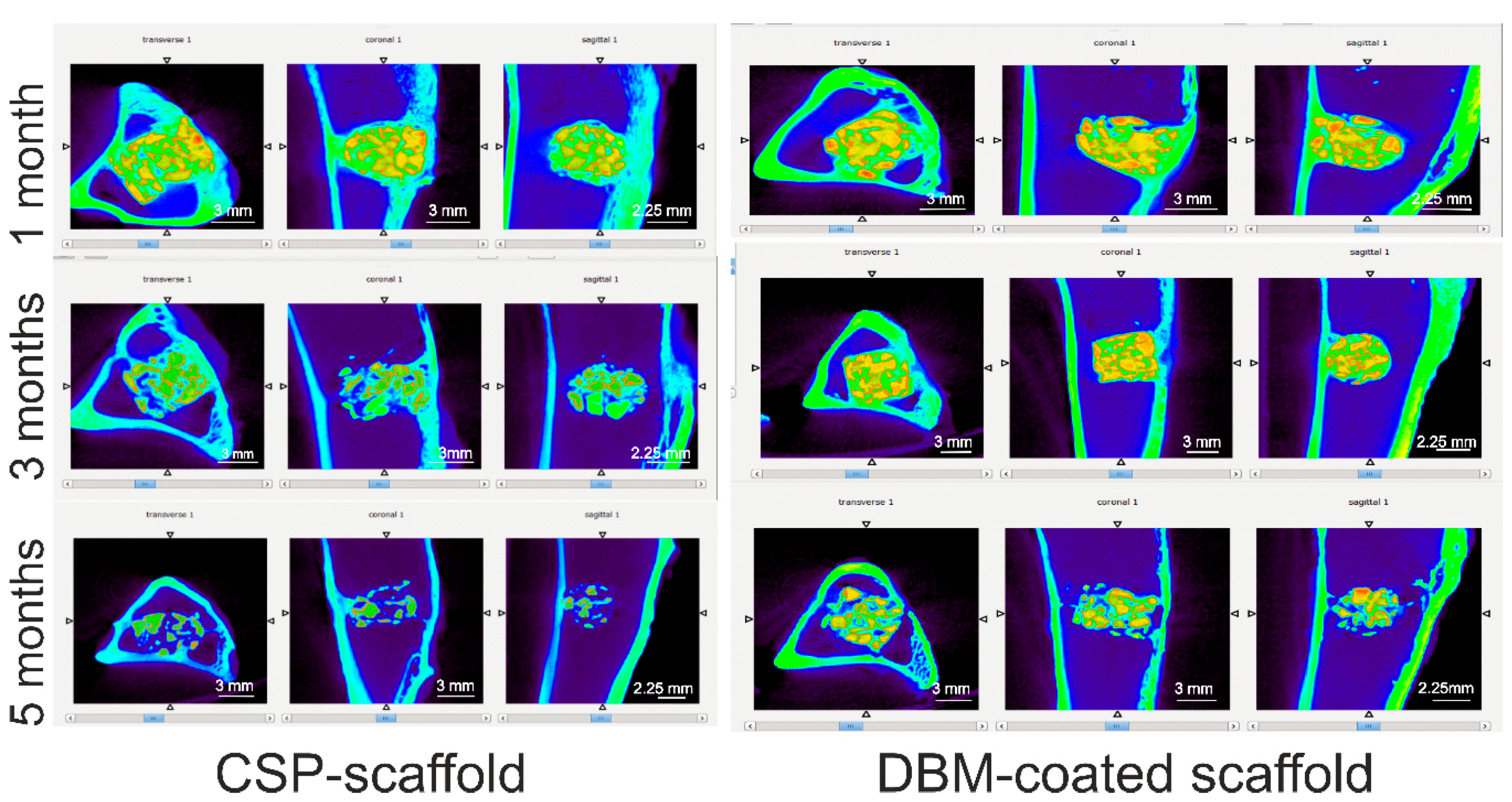 Materials 11 01580 g008