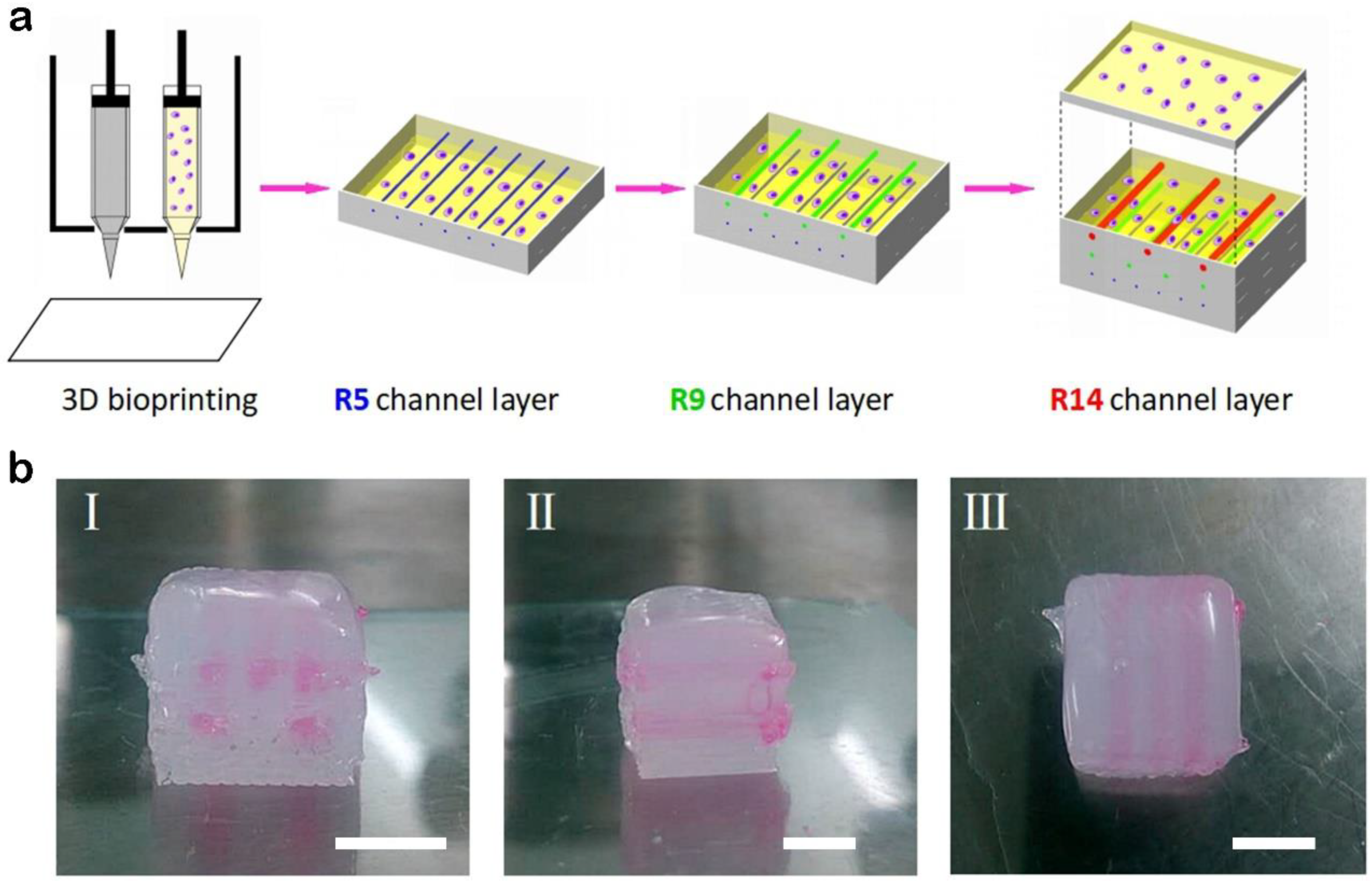 Materials 11 01581 g005 Materials 11 01581 g005