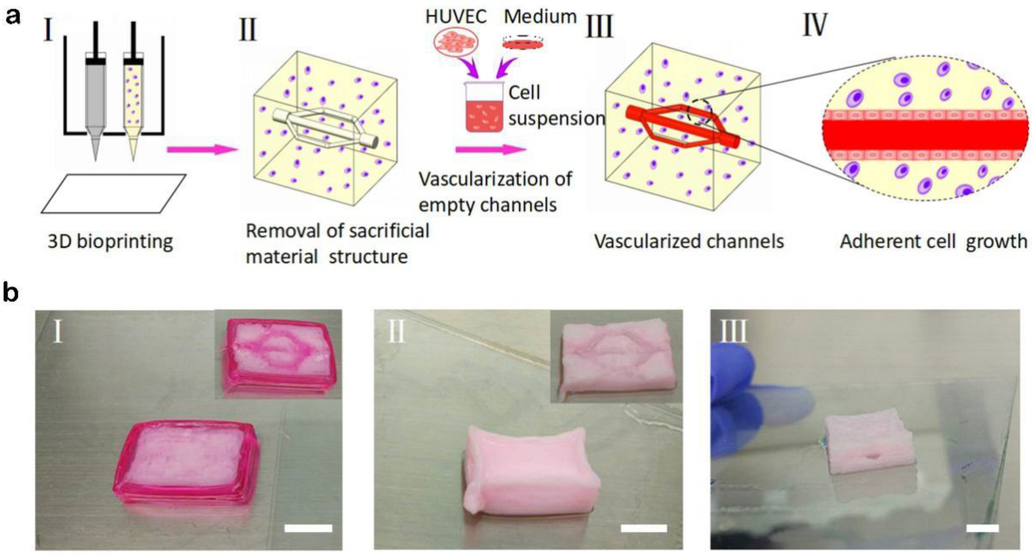 Materials 11 01581 g006 Materials 11 01581 g006