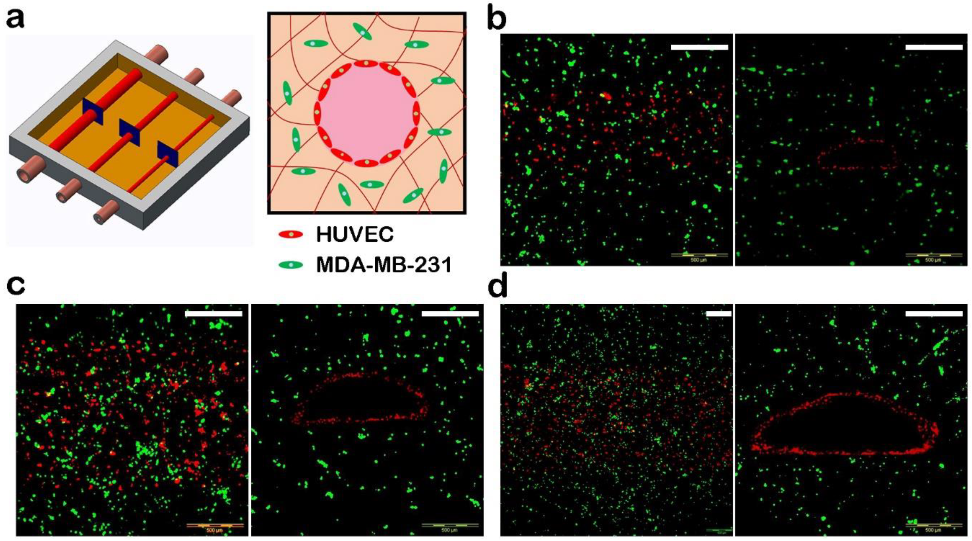 Materials 11 01581 g007 Materials 11 01581 g007
