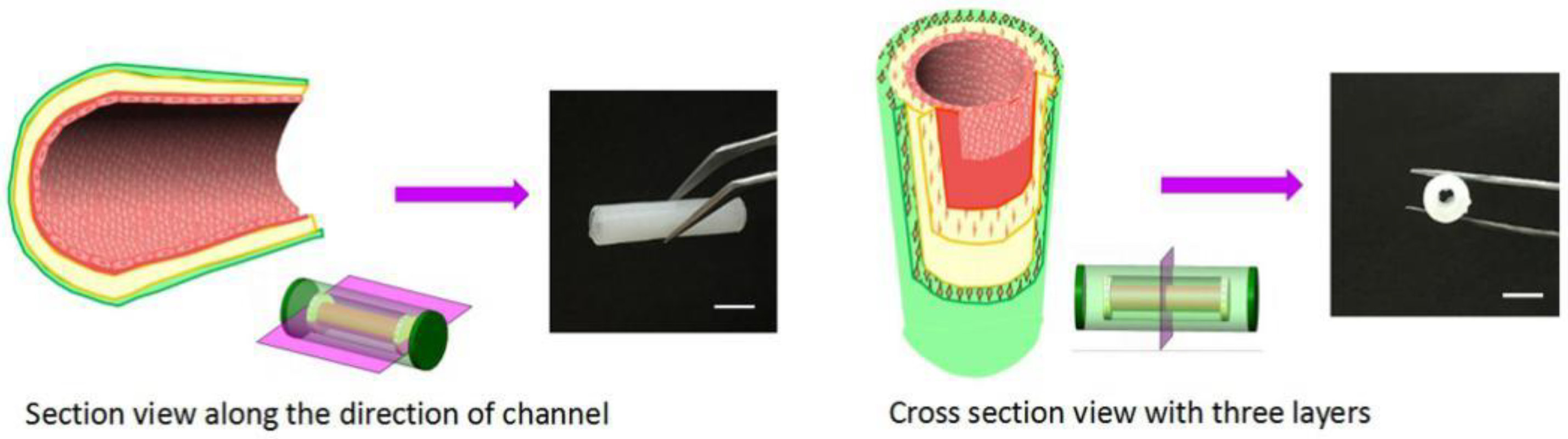Materials 11 01581 g010 Materials 11 01581 g010