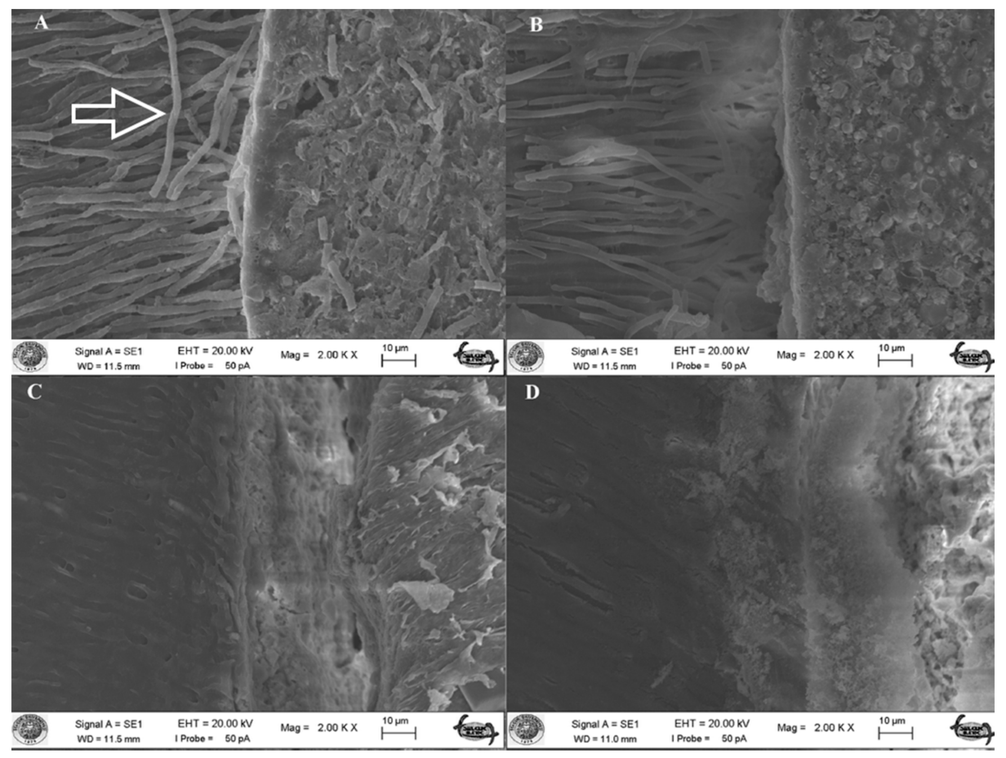 Materials 11 01620 g001
