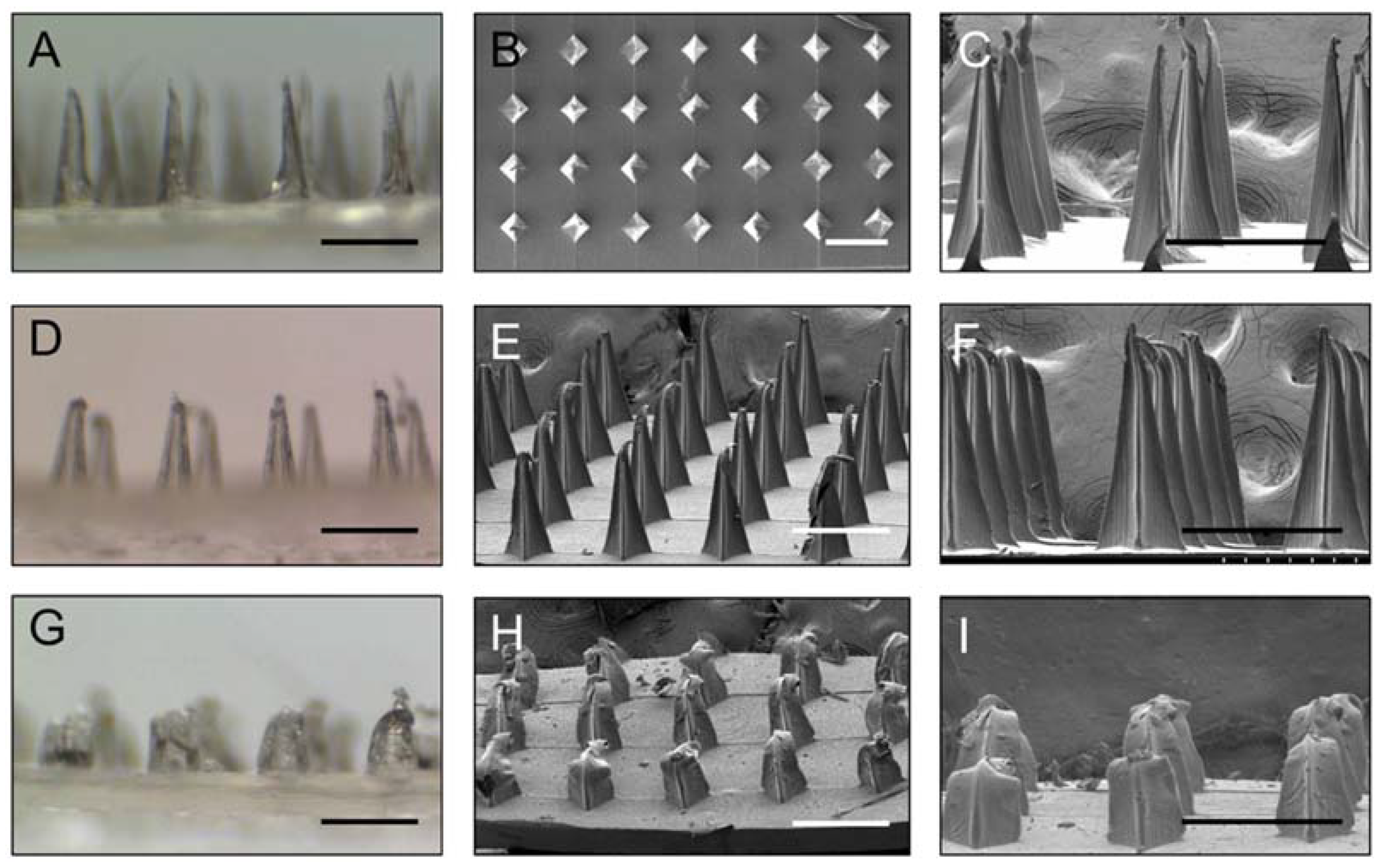 Materials 11 01625 g002 Materials 11 01625 g002